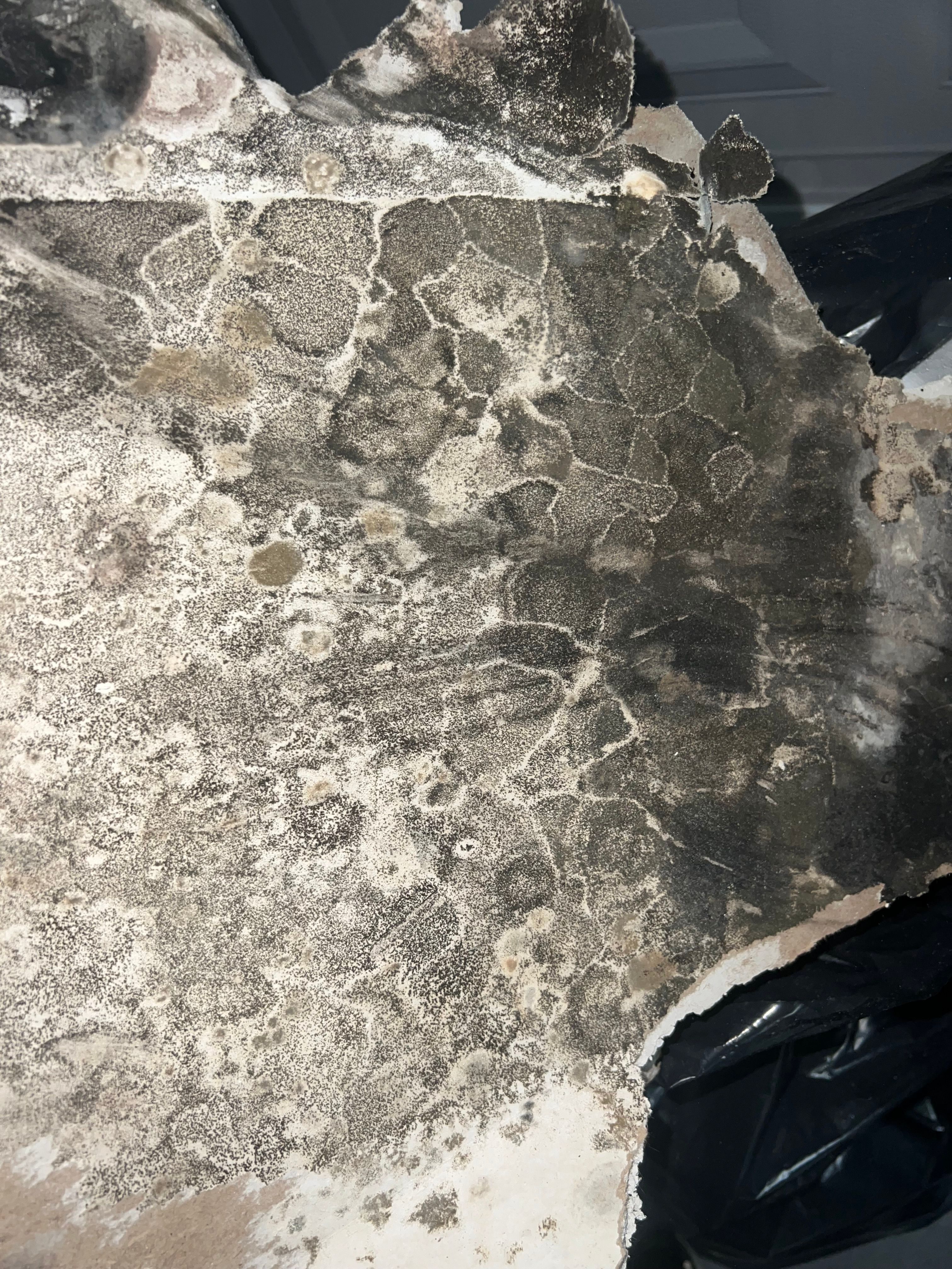  for N&D Restoration Services When Disaster Strikes, We Come In in Cape Coral,  FL