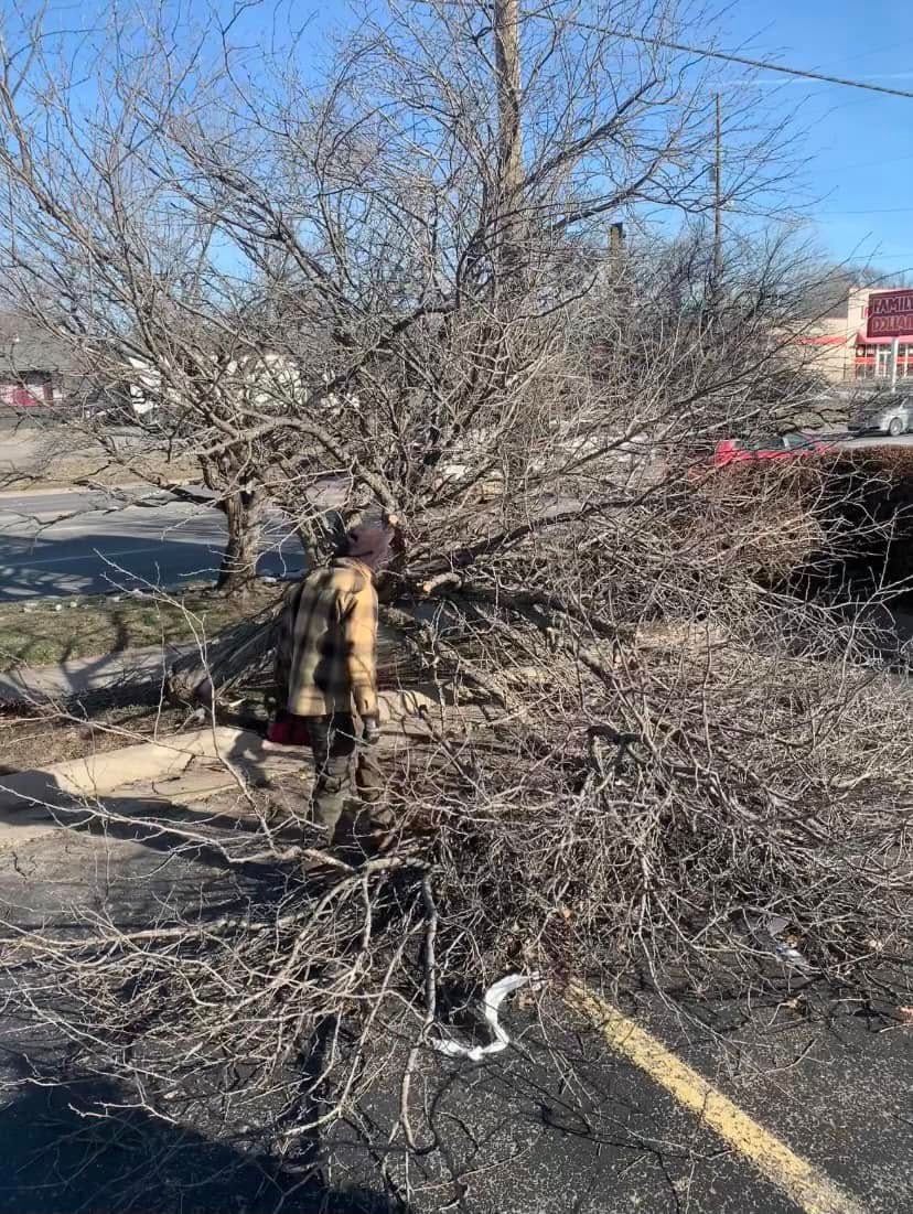  for C & C Lawn and Landscape in Bel Aire, KS