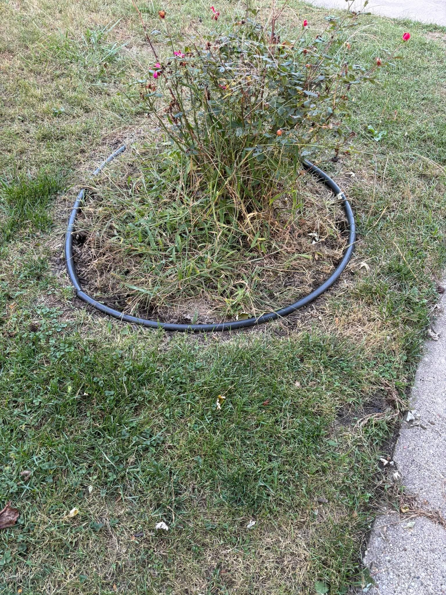  for Cena Landscaping in Rockford, IL