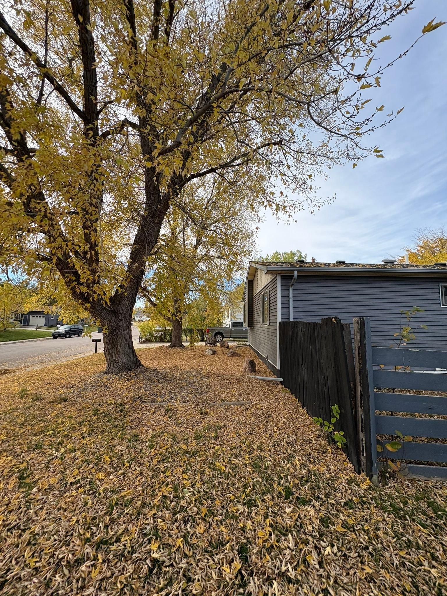  for Elevated Tree Care in Gillette, WY
