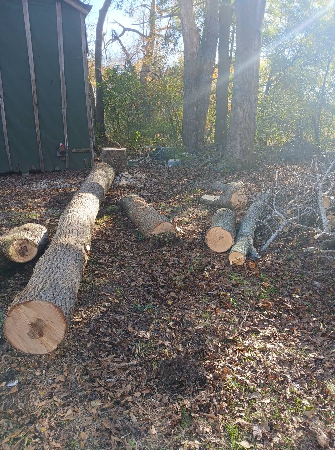 All Photos for Kingdom Riderz Hauling And Tree Service in Tar Heel, NC