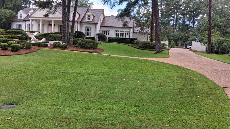  for Amis Lawn and Landscape, LLC in Clinton, MS