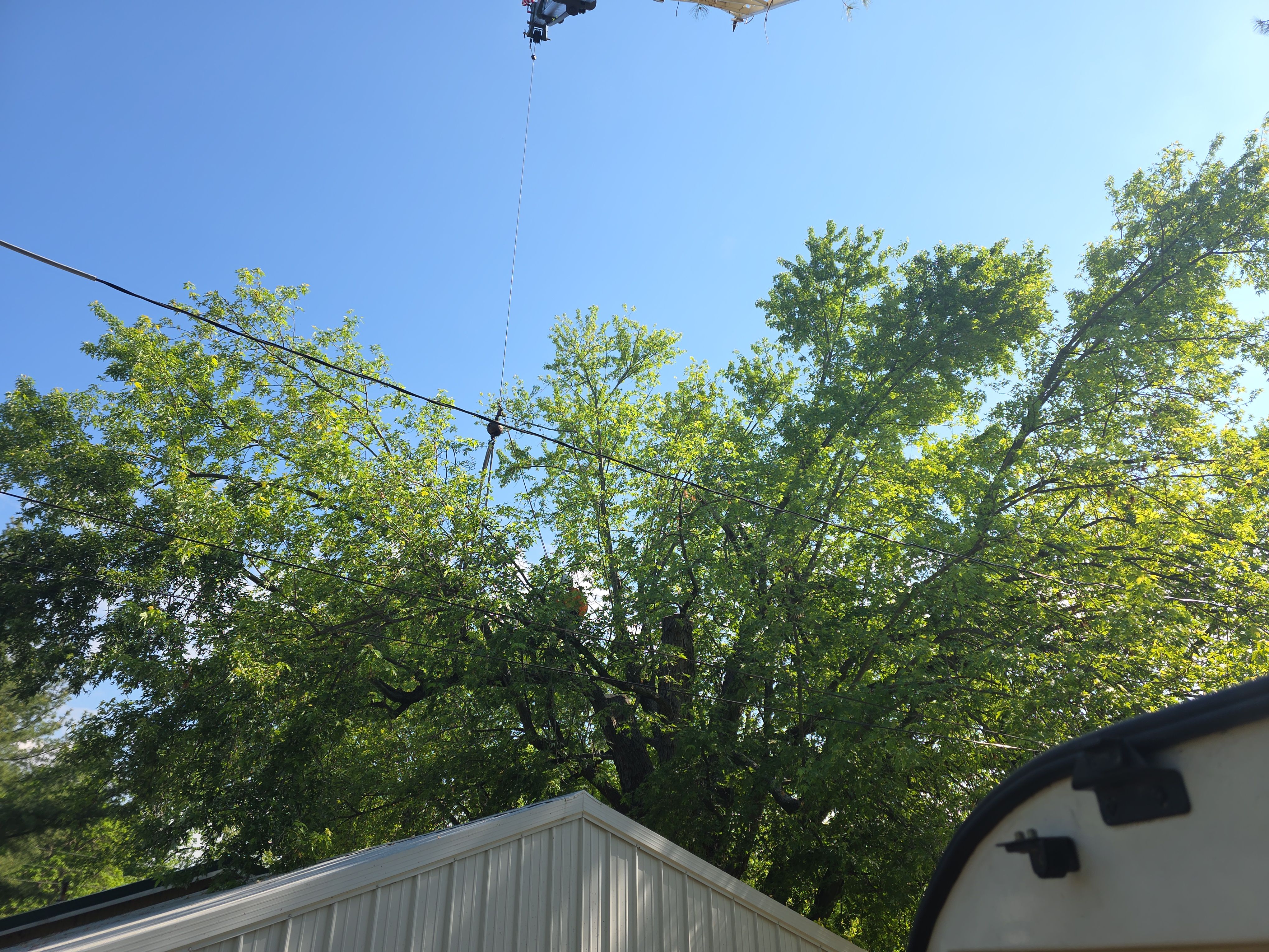  for Advanced Tree Solutions in Rockville, IN