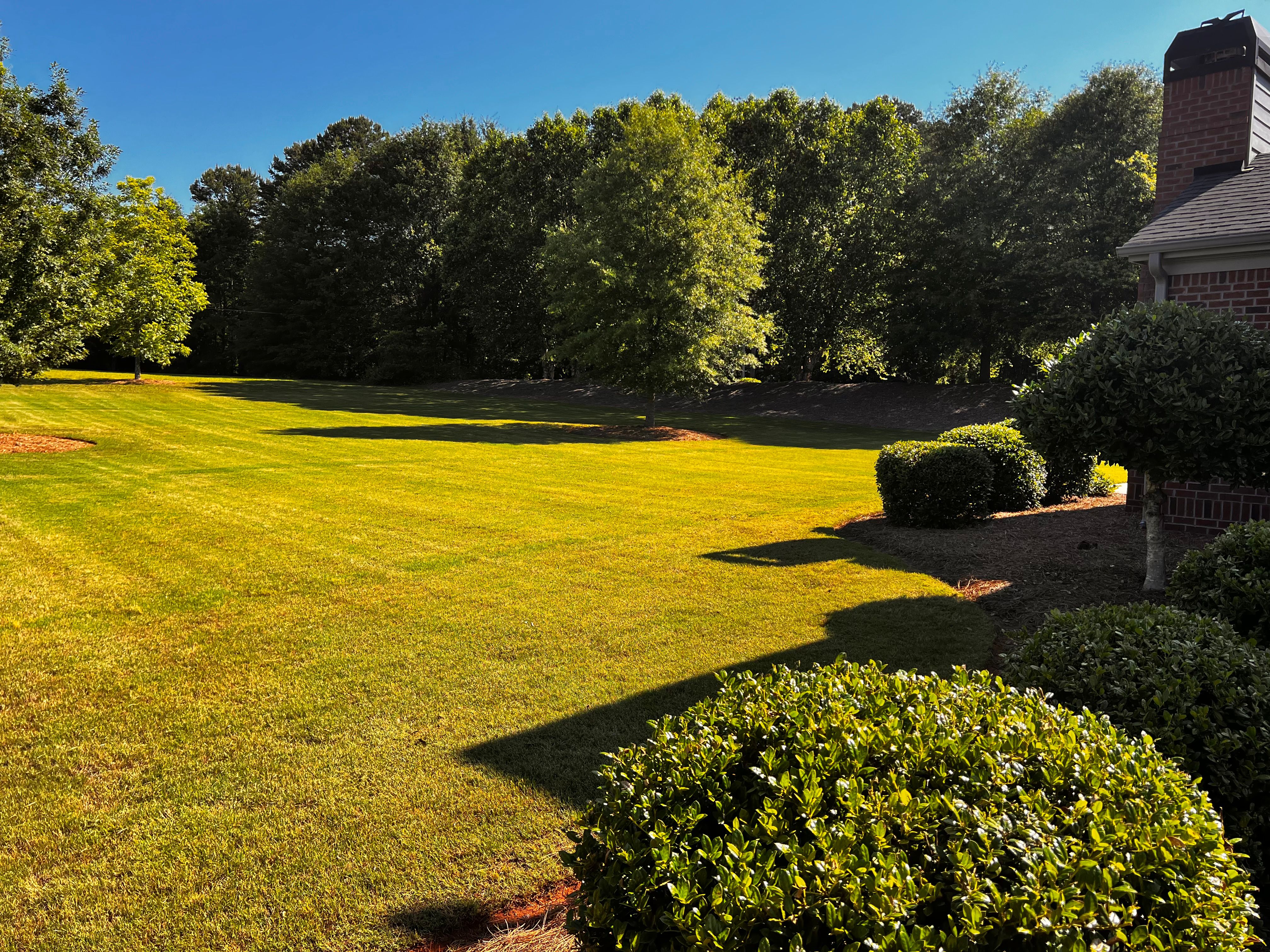  for JC Lawn Care and Landscaping in Athens, GA