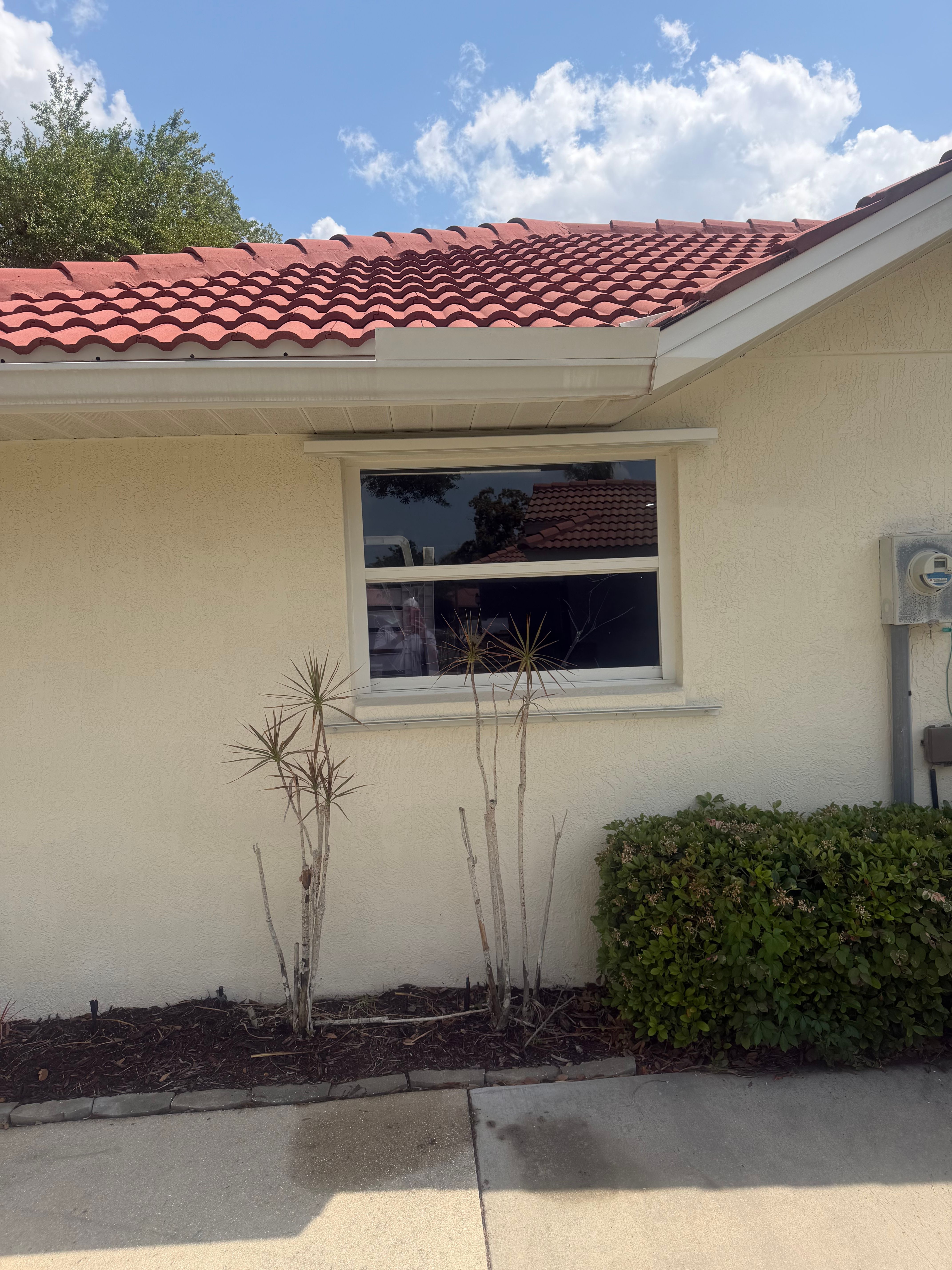  for My Soft Wash Guys in Venice, FL