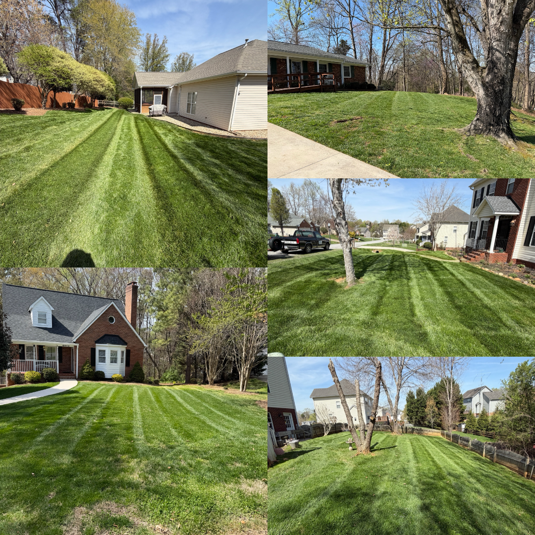  for Holloway Yard Company in Winston-Salem, NC