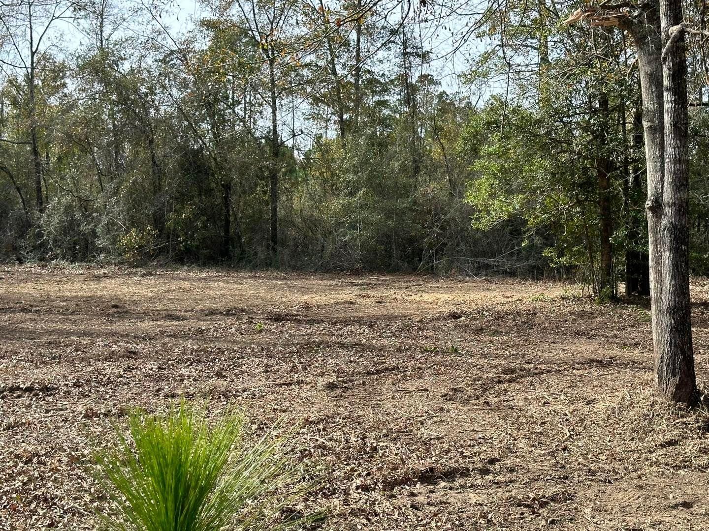 All Photos for White’s Land Maintenance in Milton,, FL