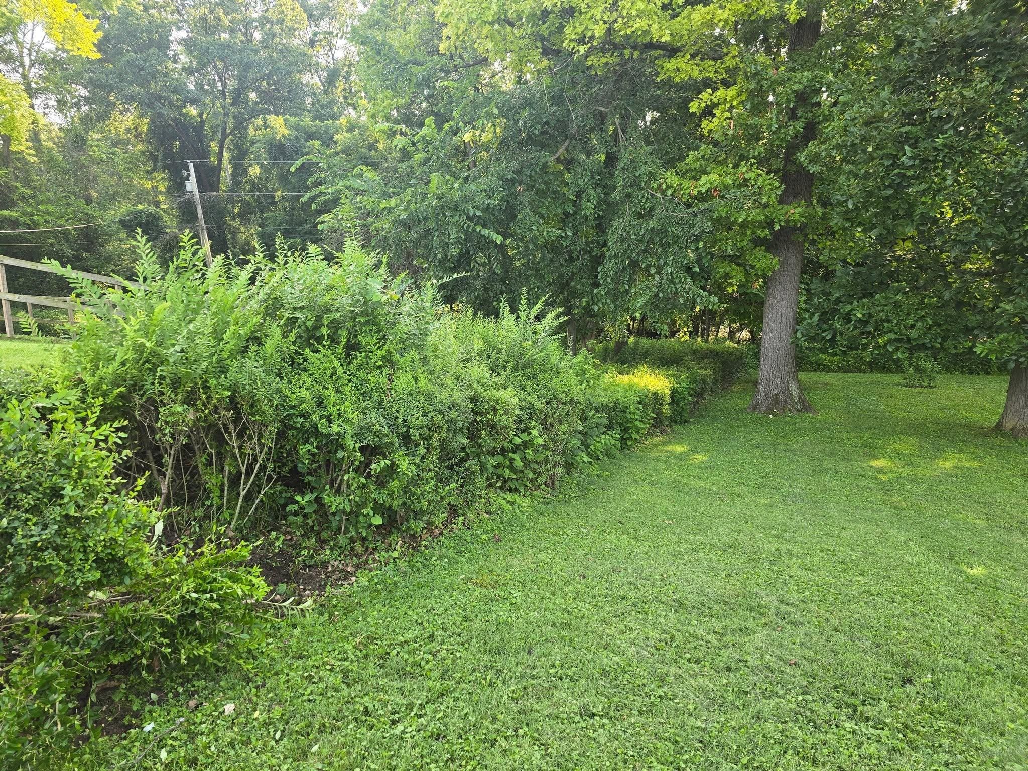 All Photos for Tingley's Green Land Services in Springfield, Ohio