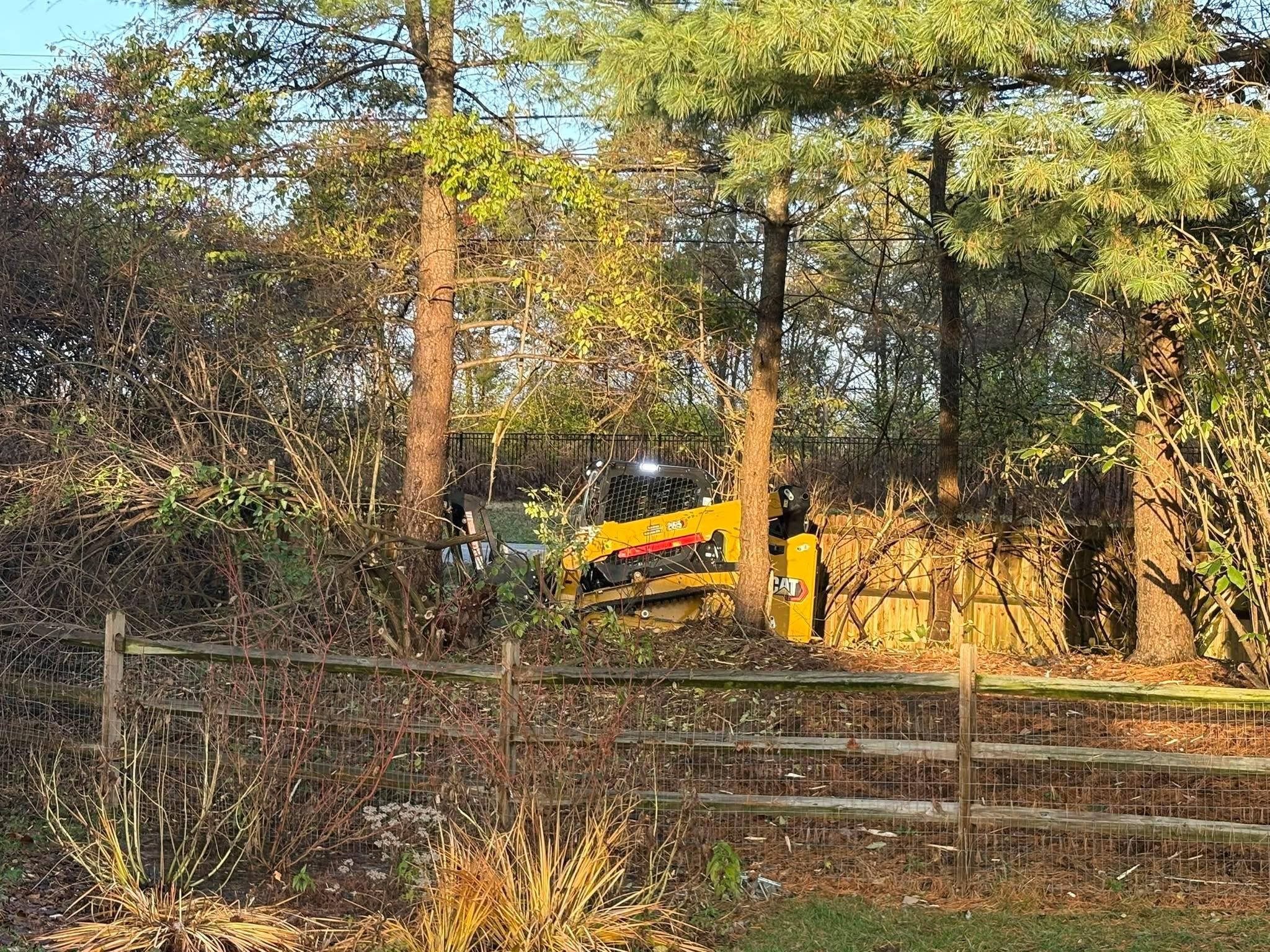  for Dig-It Tree Company in Mason, OH