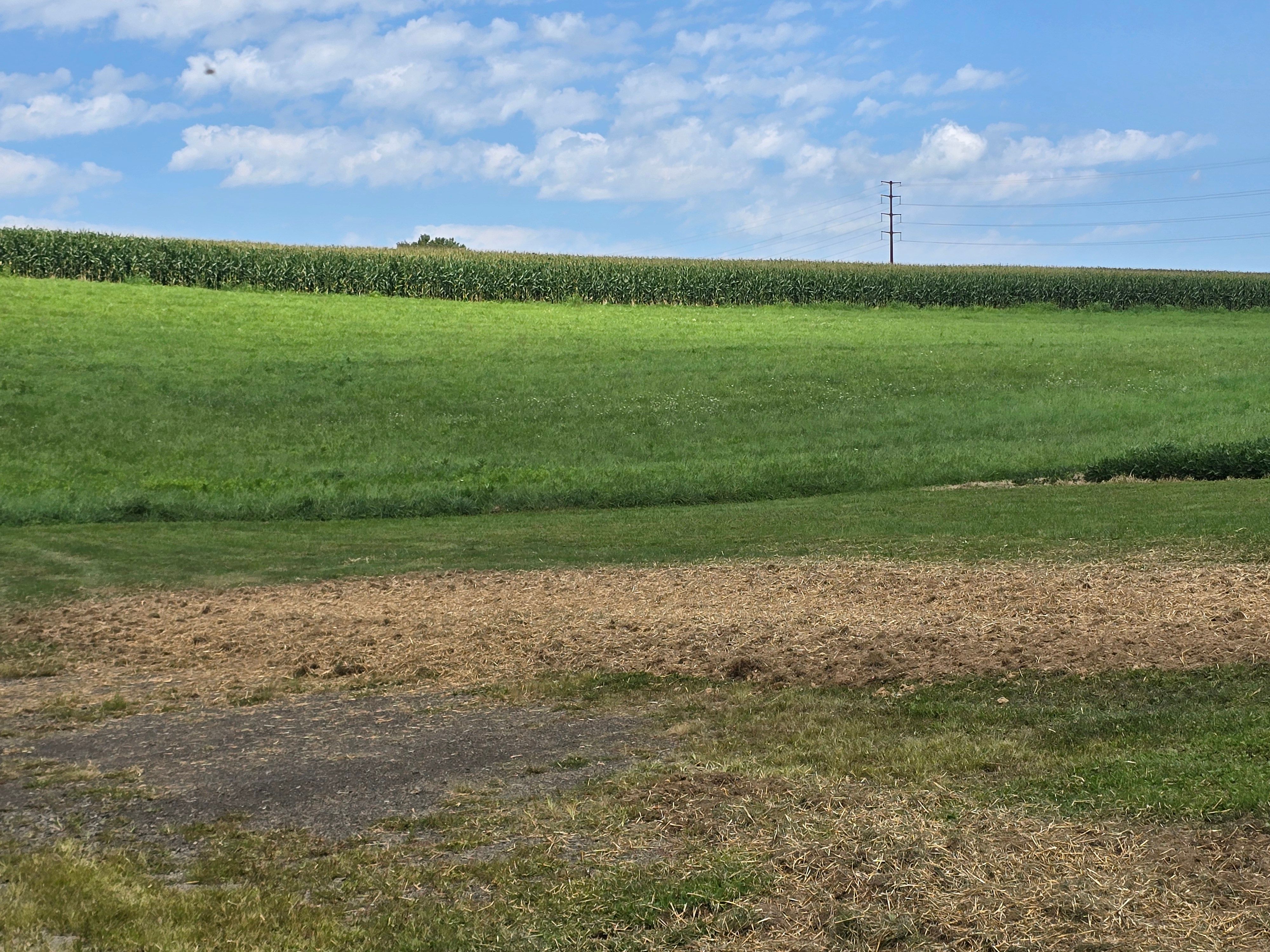  for Down Home Landscaping in Stillwater, PA