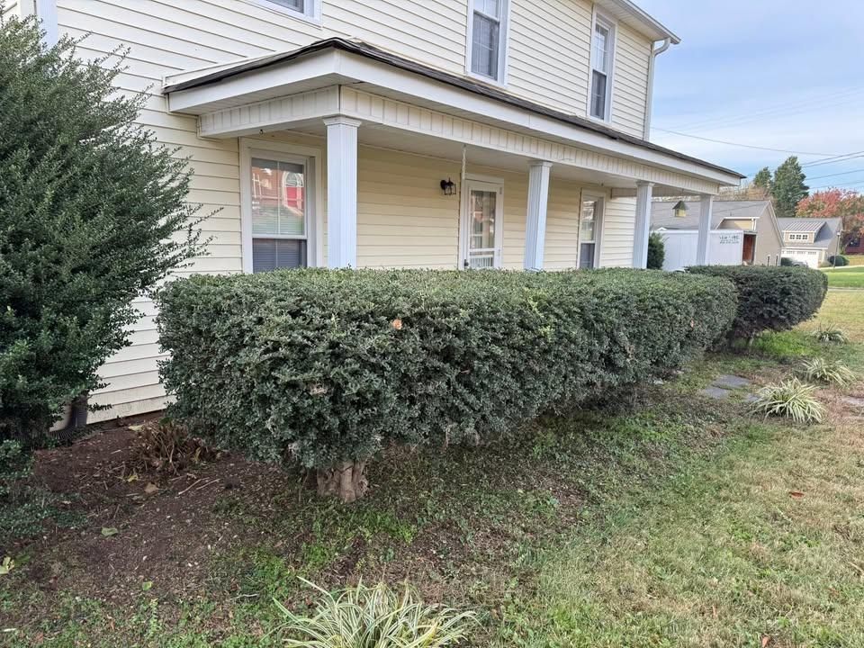  for Down South Tree Care and Landscaping in Maiden, NC