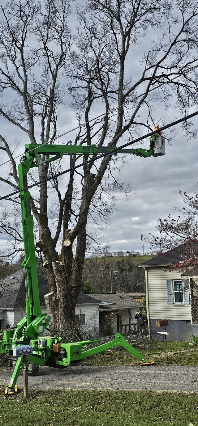  for Reagan & Sons Tree Service in Dandridge, TN