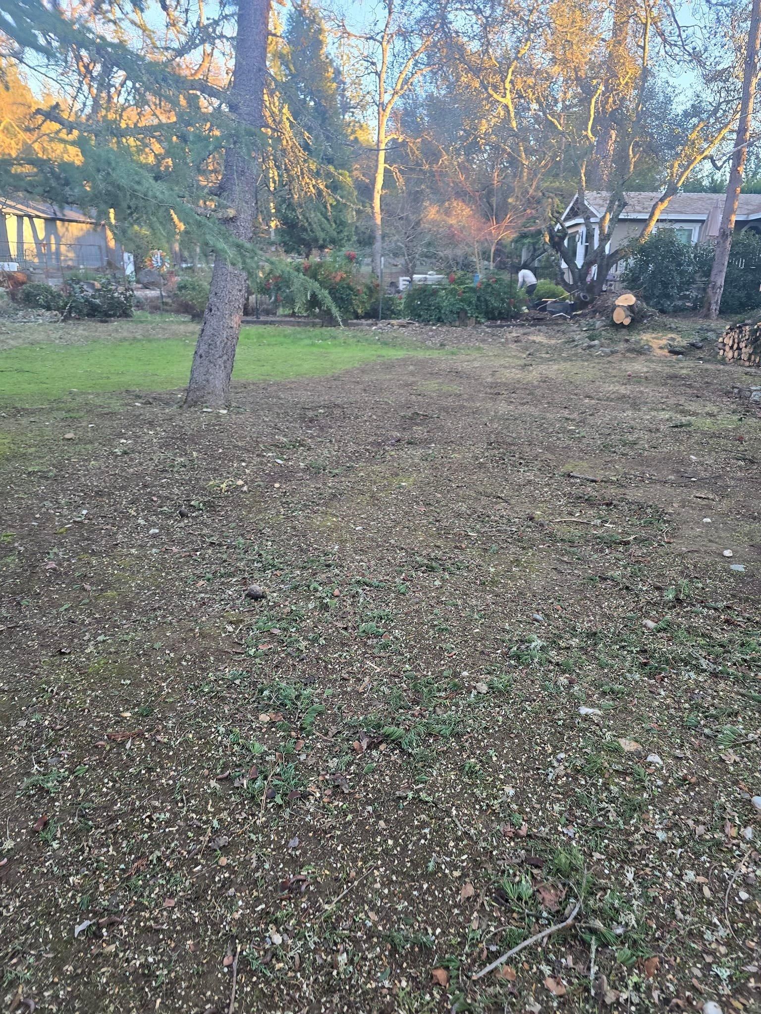  for Terra Heights Tree Experts & Landscaping  in Grass Valley,  CA