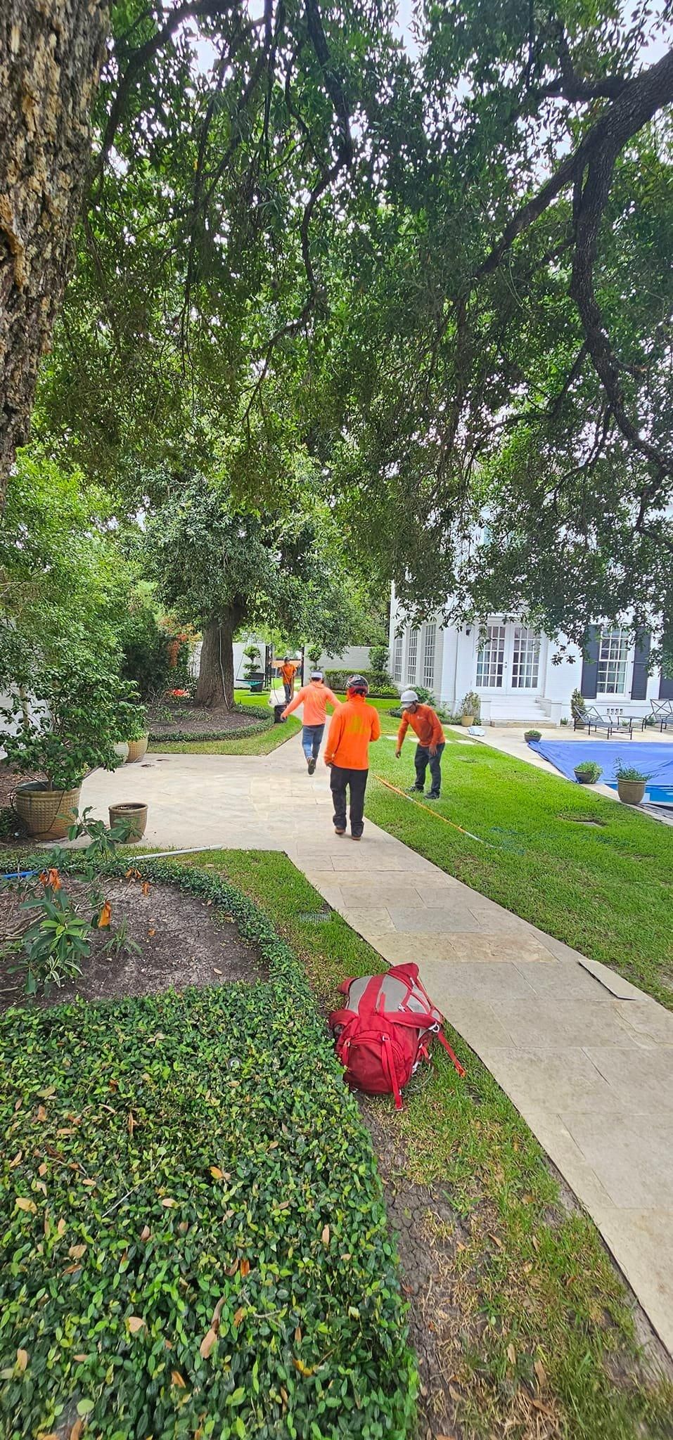  for Servin's Tree Care  in Houston, TX