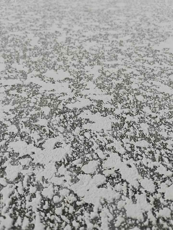  for American Acrylic Concrete Coatings in Longwood, FL