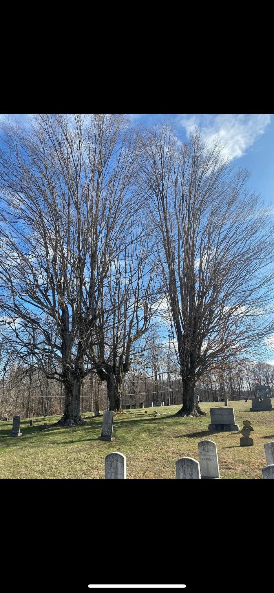 Fall and Spring Clean Up for Atwood’s Tree Care in Liberty,  KY