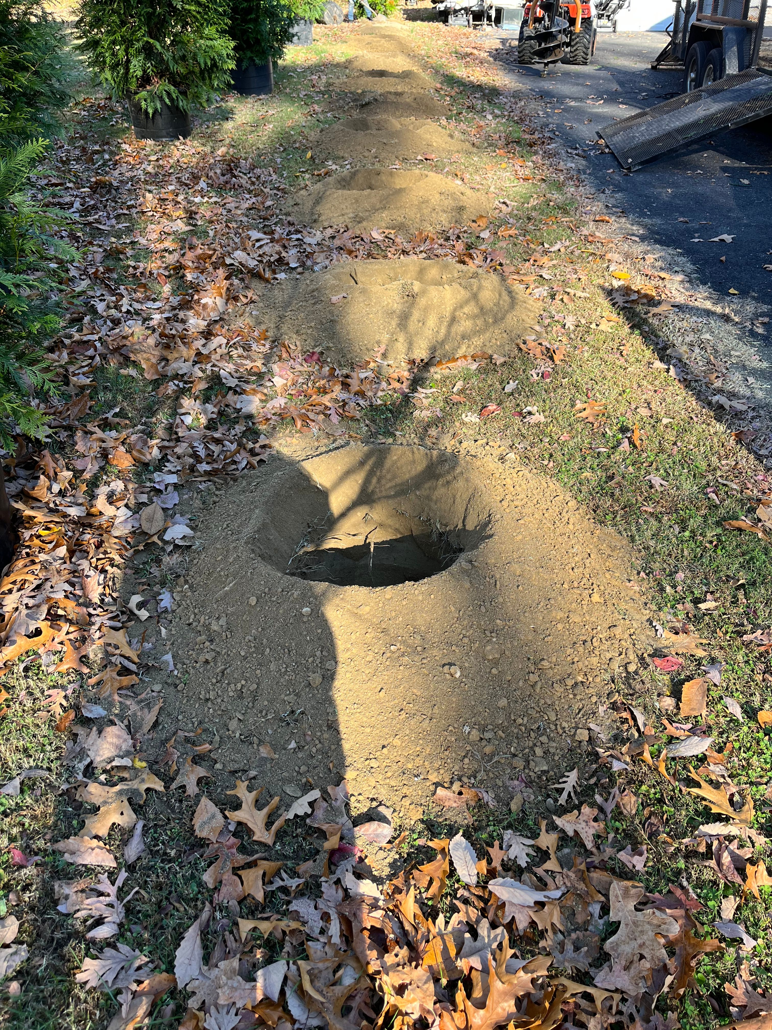  for Atlas Home Services in Mechanicsville, VA