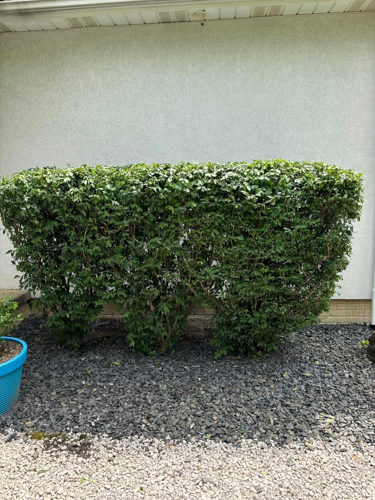  for Lopez Landscaping & Snow Removal LLC in Conneaut, OH