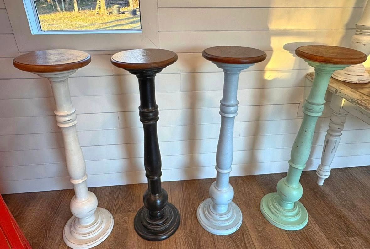  for Southern Roots Tree Farm in Crystal River, FL