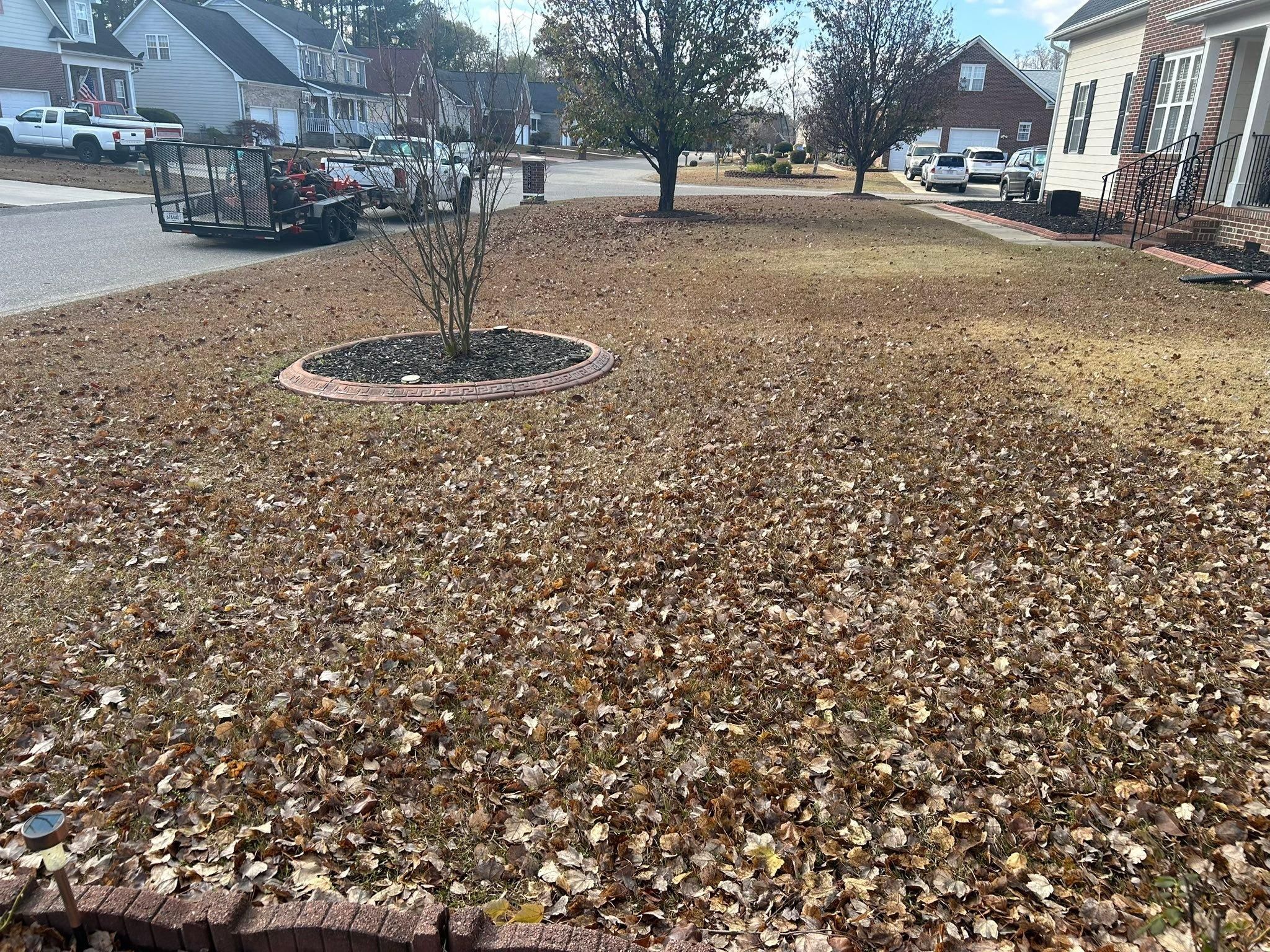  for Cutting Edge Lawn Care in Fayetteville, NC