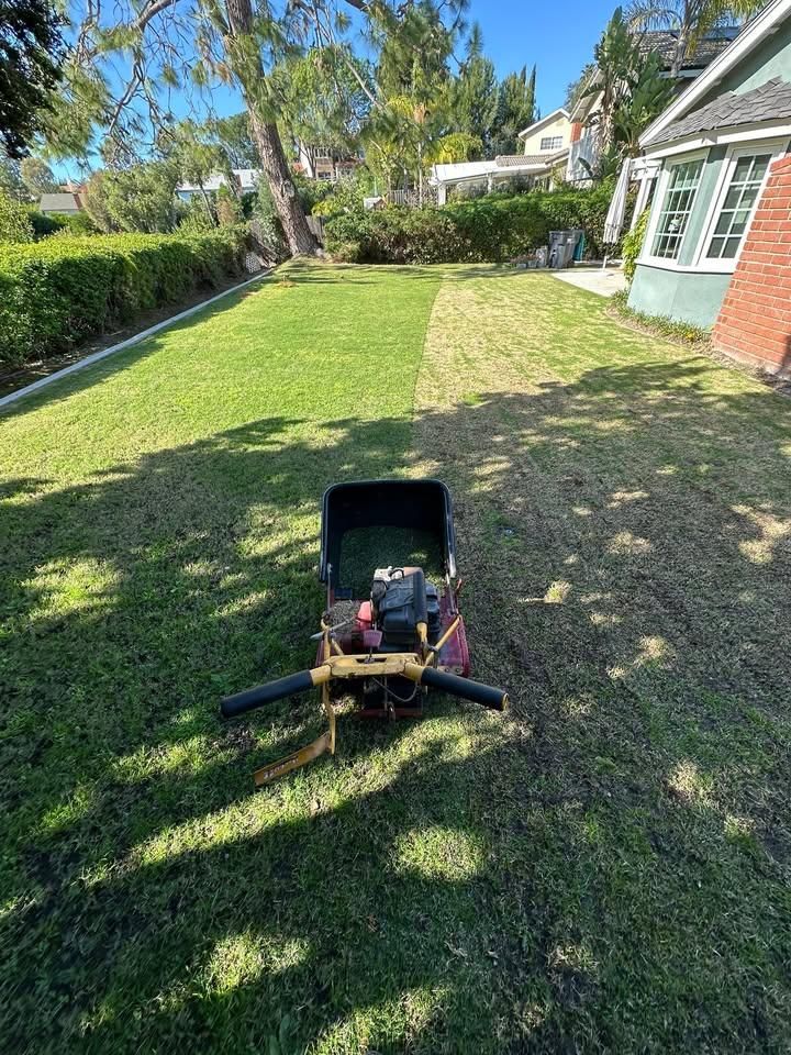  for Benito's Gardening in San Juan Capistrano, CA