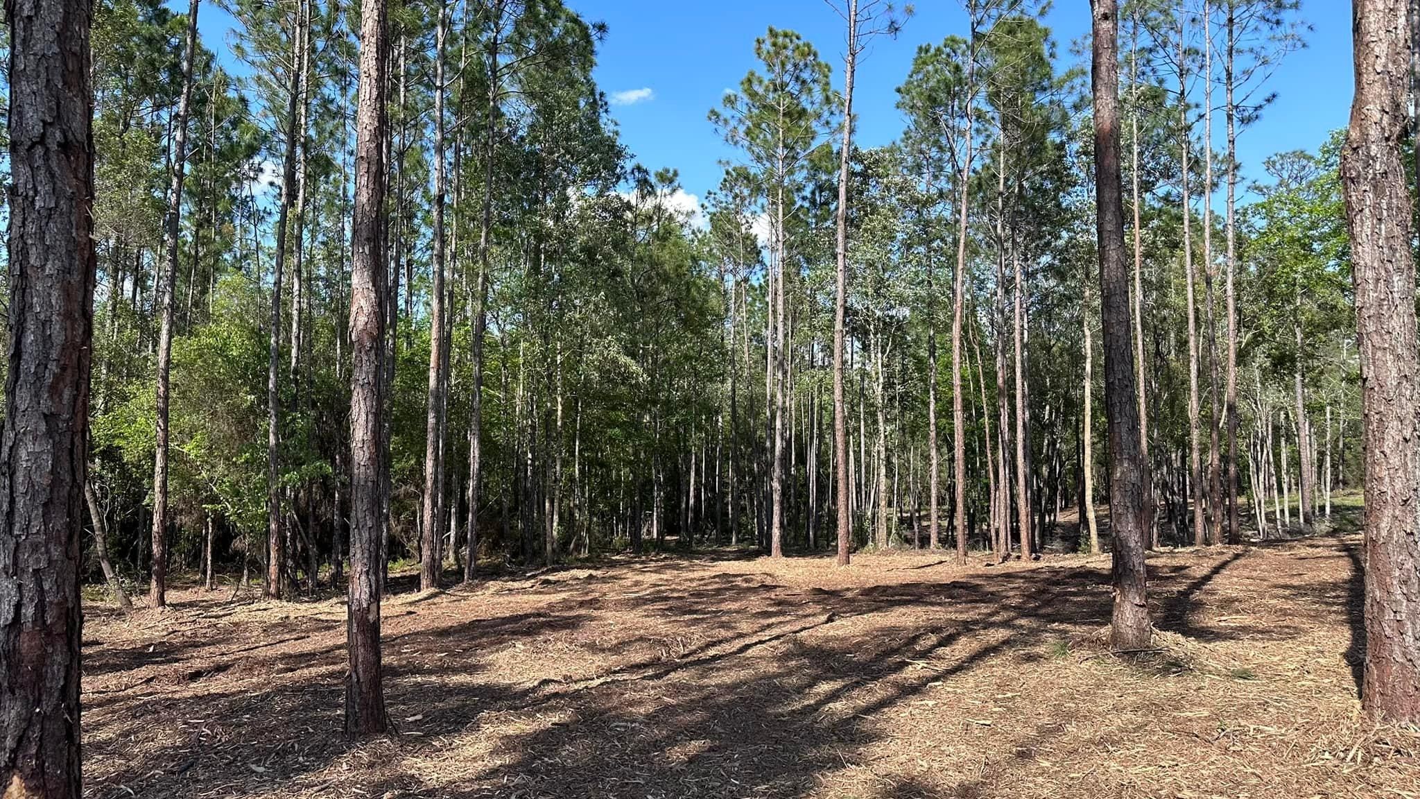 All Photos for White’s Land Maintenance in Milton,, FL