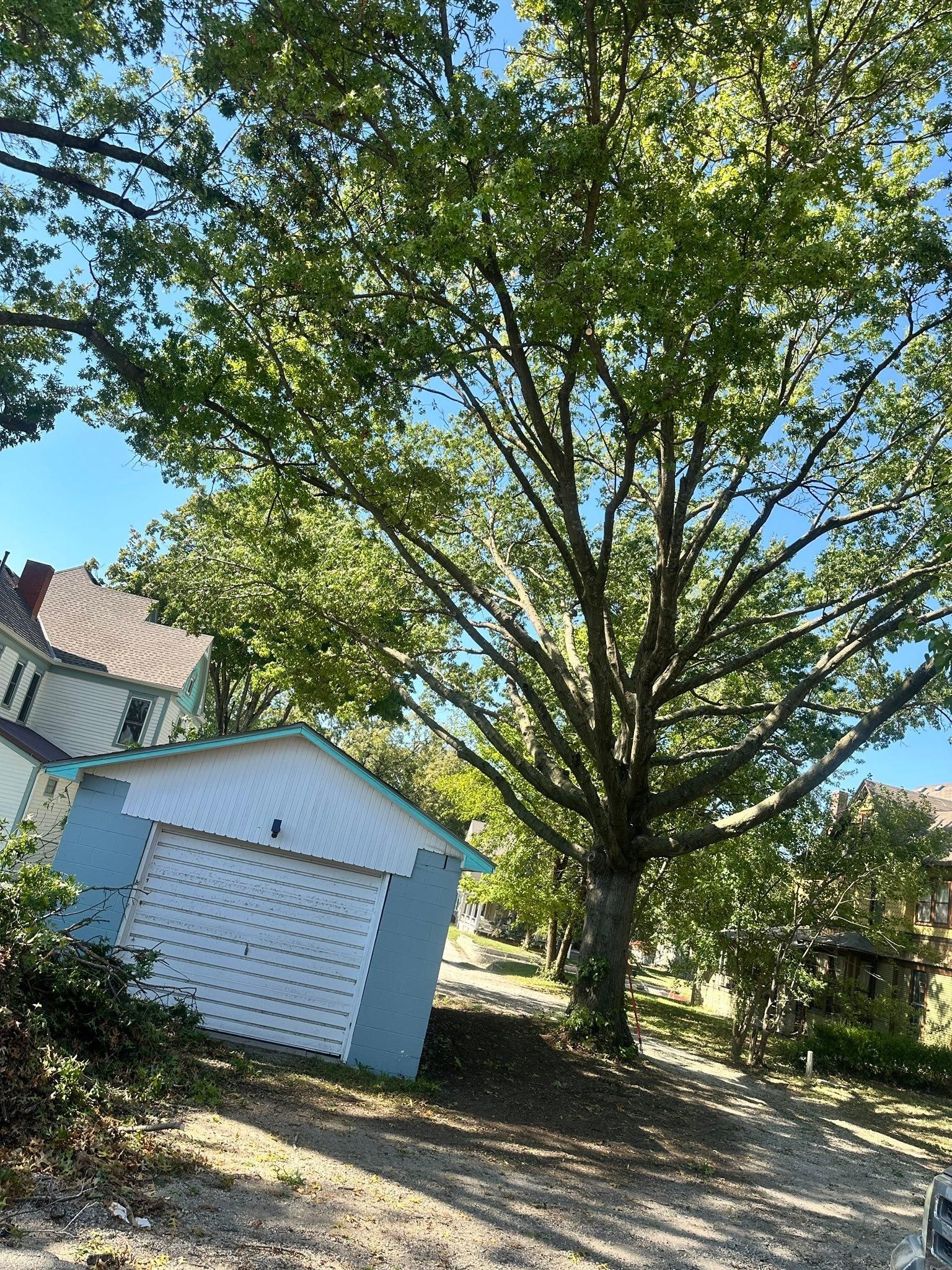 All Photos for Cross Family Tree Service in Kearney, MO