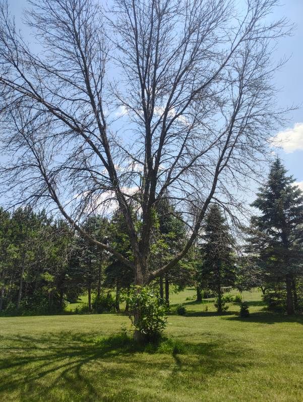 All Photos for Big River lawn Care services and snow LLC in Wausau, WI