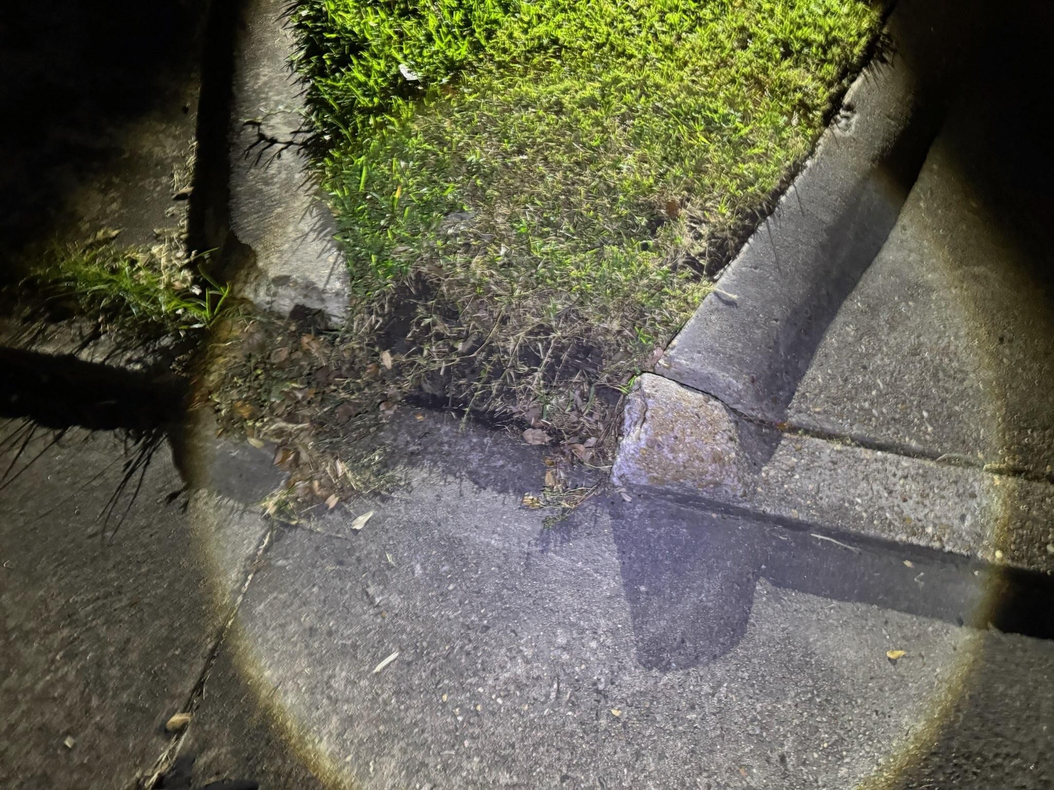  for Texas Curb N Borders in Houston, TX