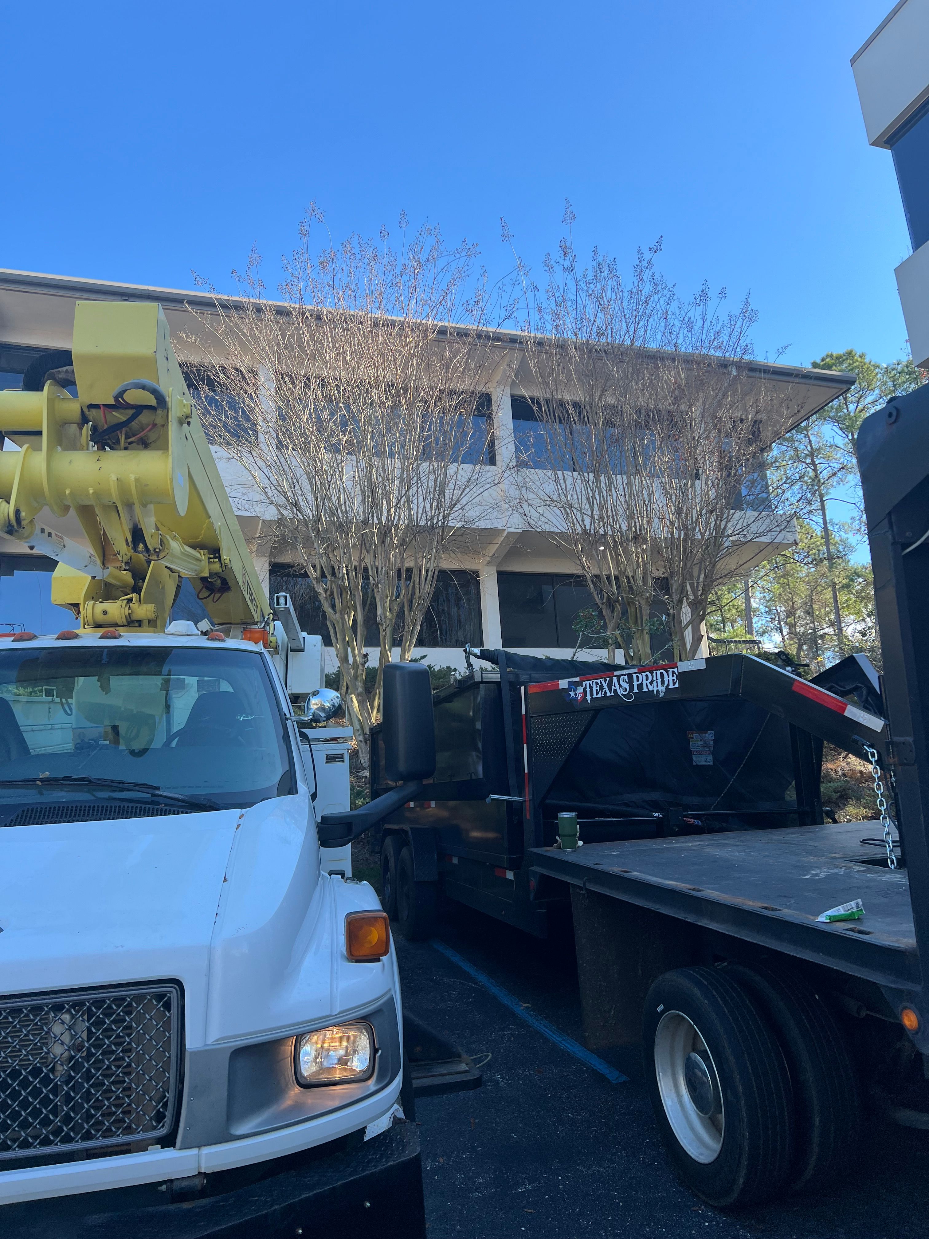  for Southern Venom Services in Daphne, AL