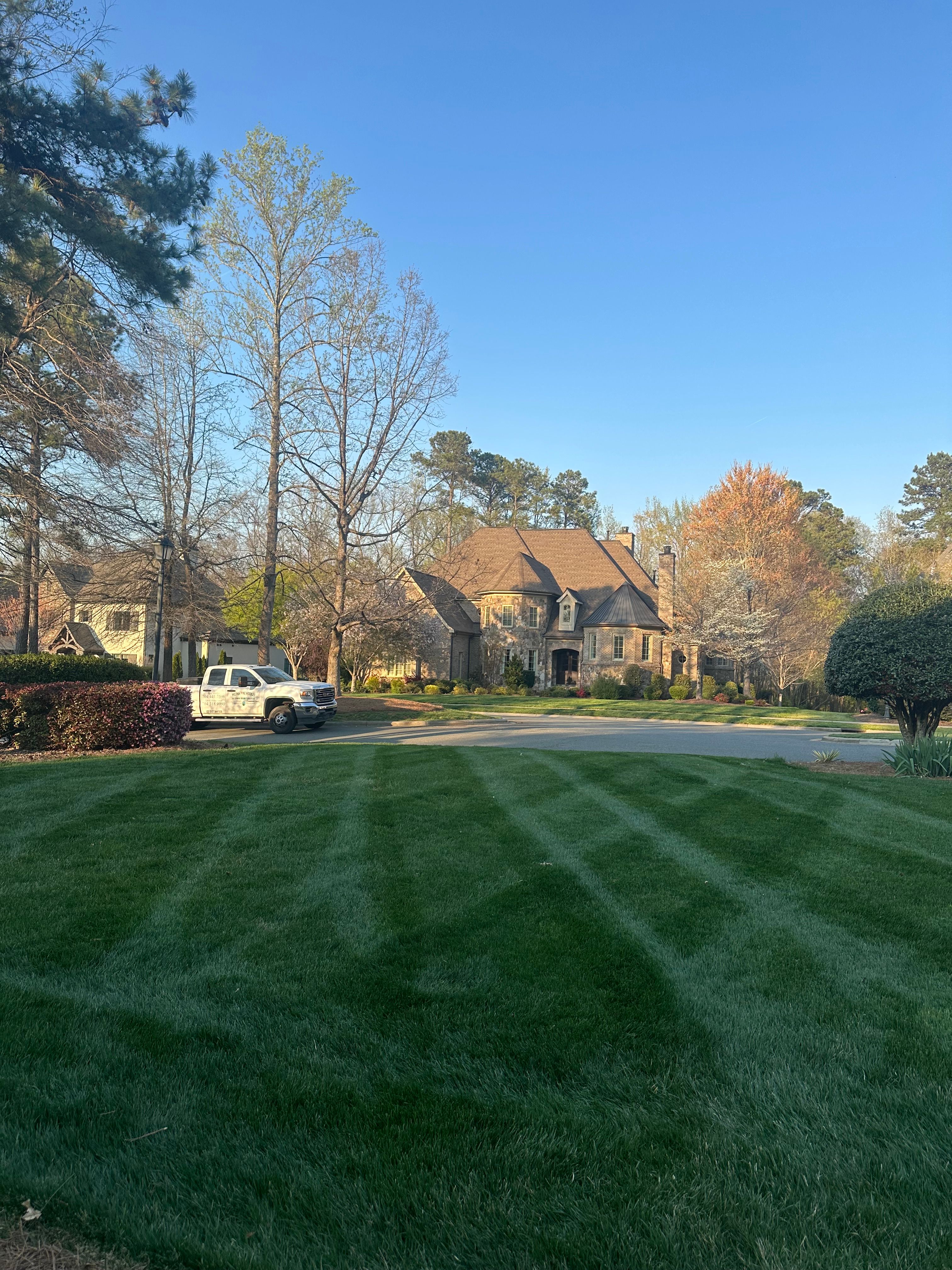 for Pecina Pine Needles in Monroe, NC