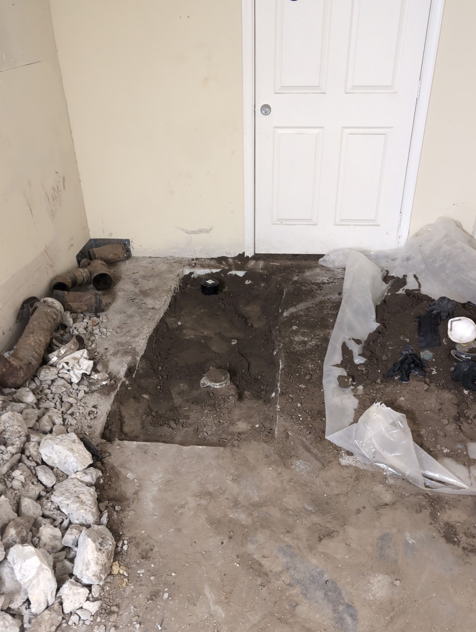  for Same Day Drains LLC in Los Angeles, CA
