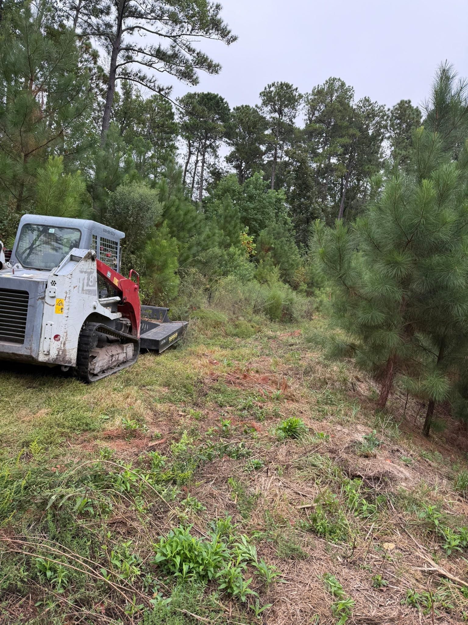  for SodGods Lawncare and Landscaping in Fayetteville , NC