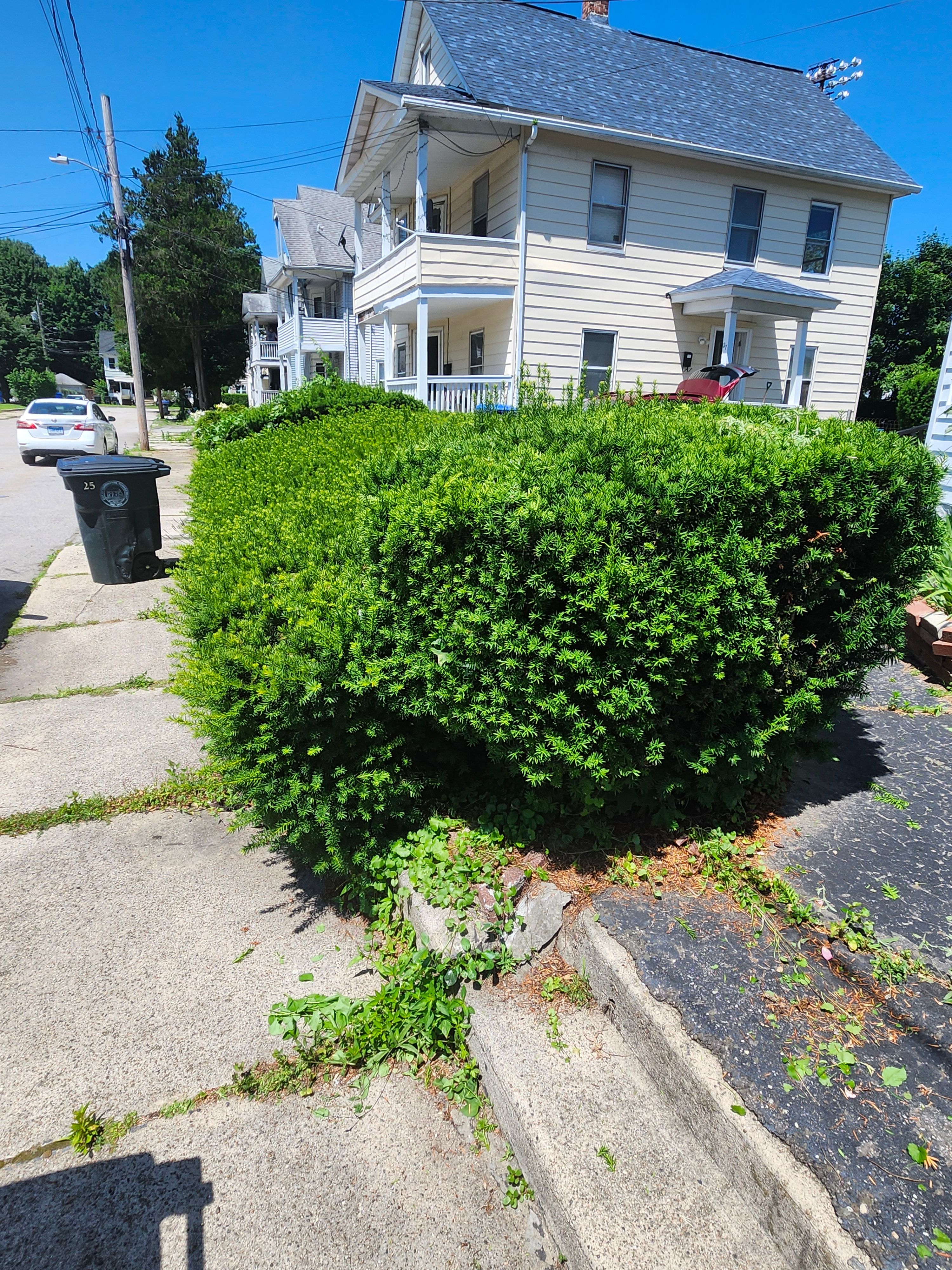 Hedge/Tree/Brush Cutting for Landscape Innovations LLC in Torrington, CT