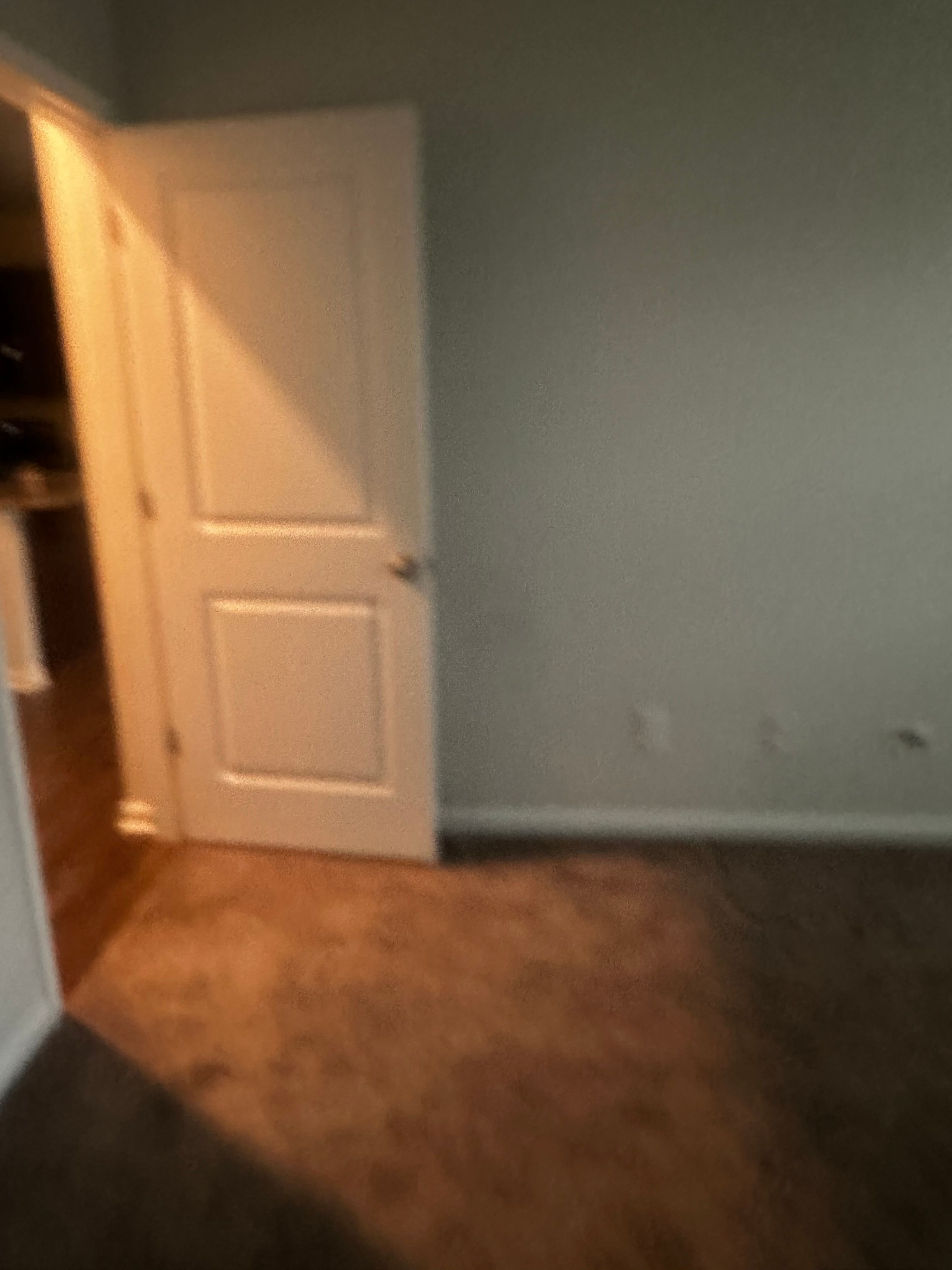  for Paintway to Heaven in Raleigh, NC