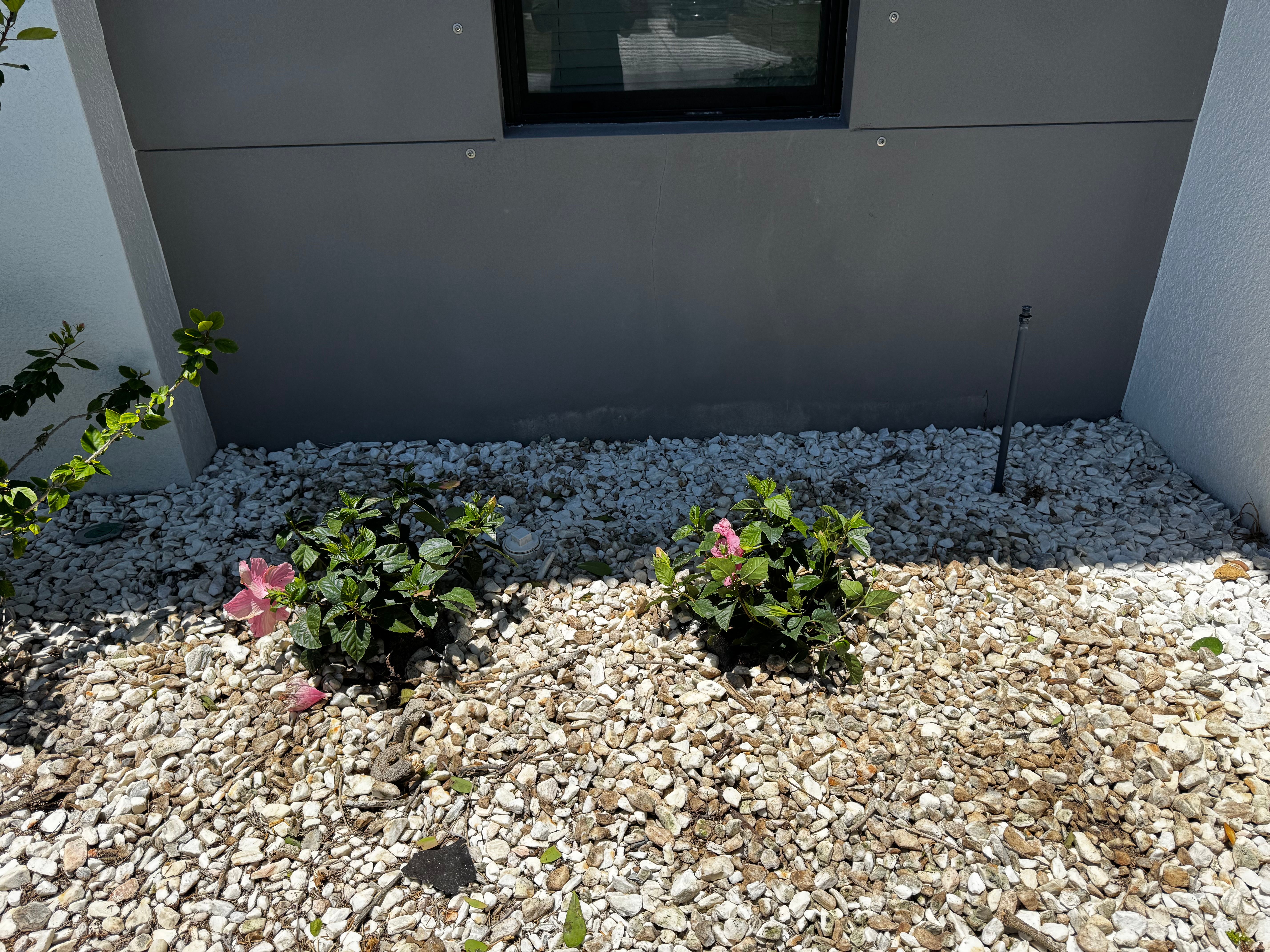  for BH Lawn and Landscape in Fort Myers, FL