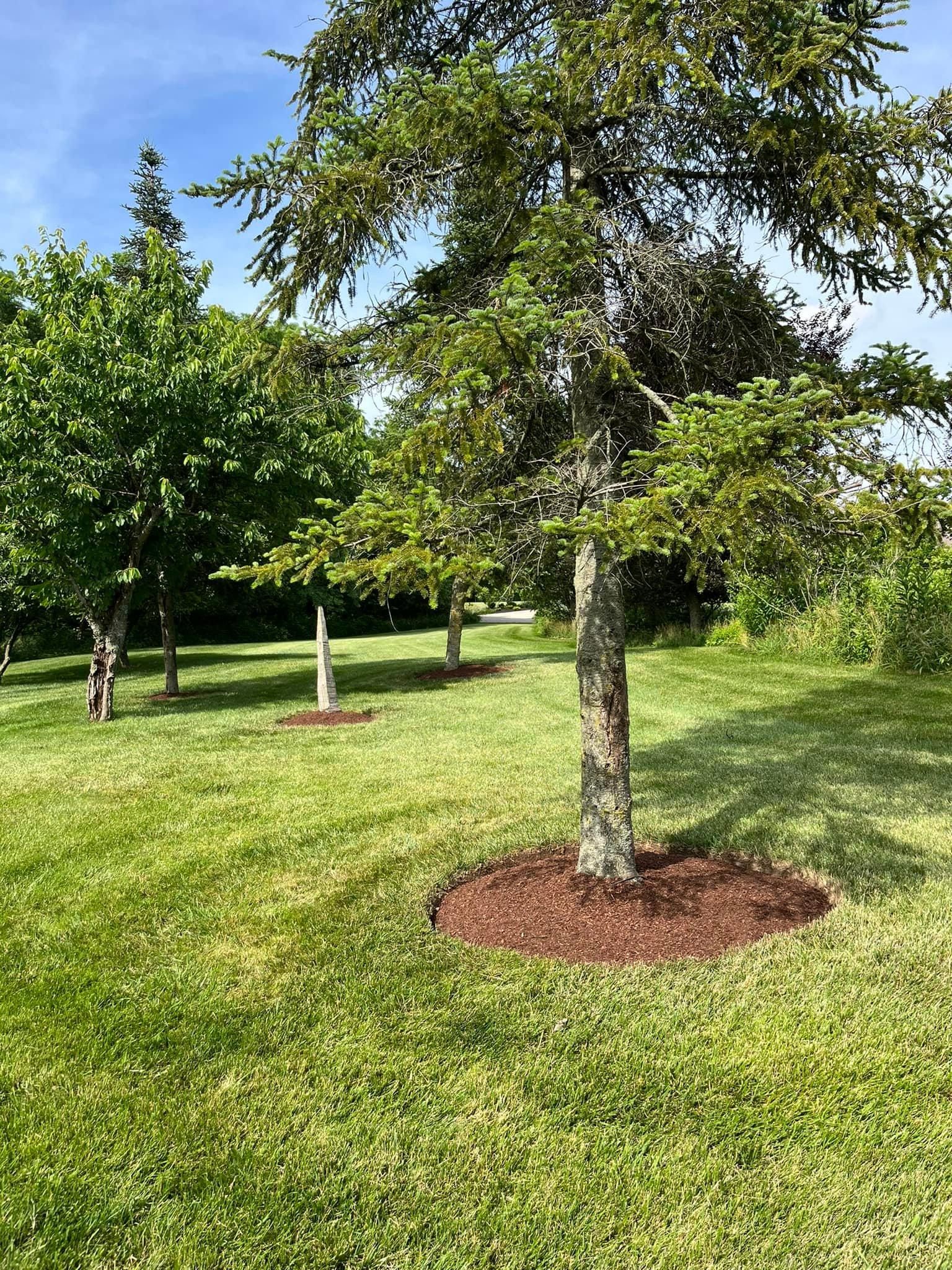  for Higgins landscaping LLC in West Jefferson, OH