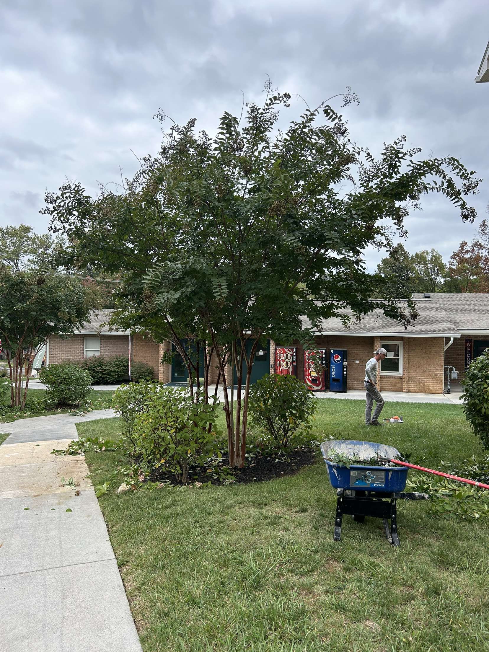  for Lakeside Landscaping  in Gordonsville, VA