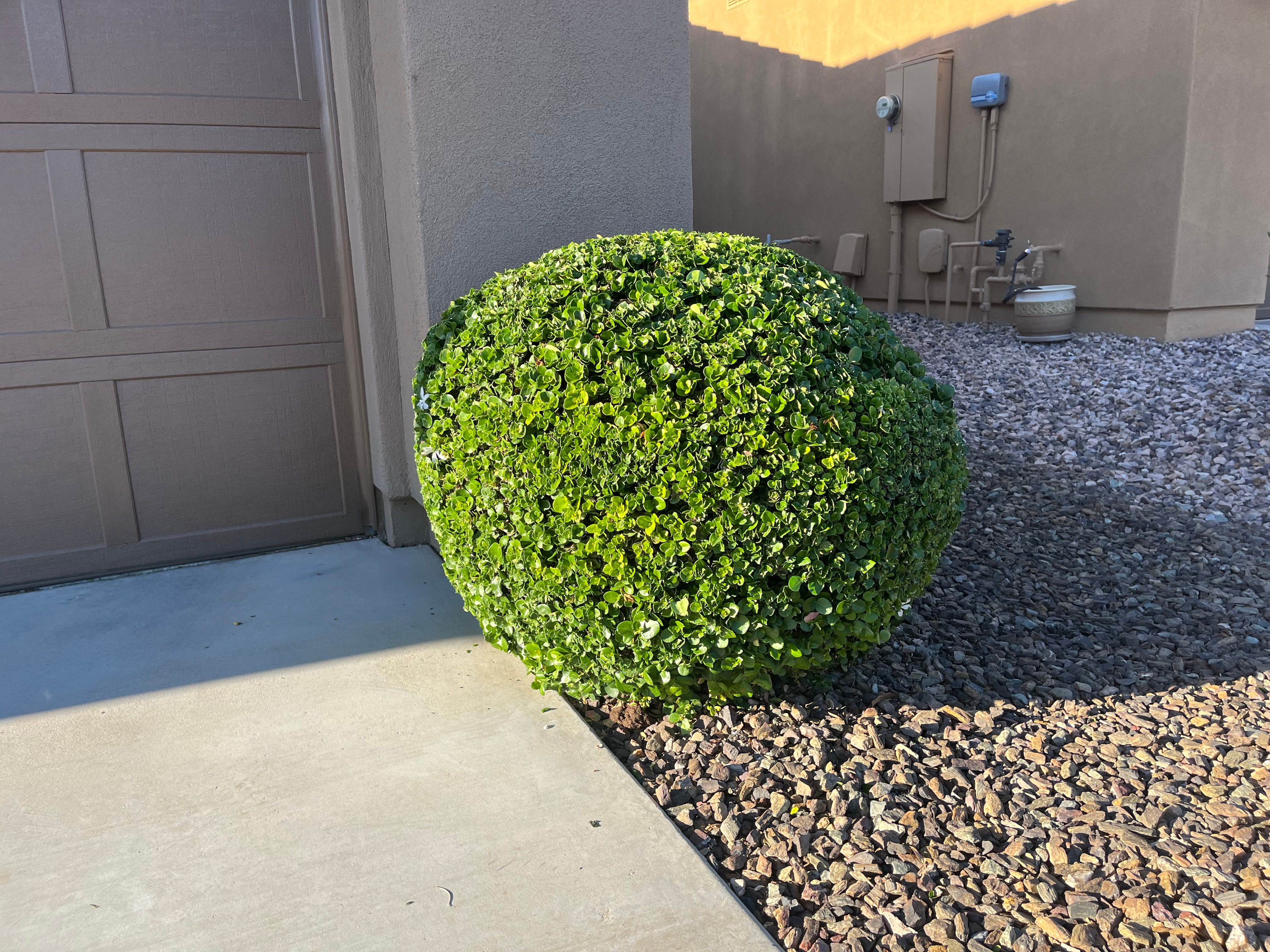 All Photos for Grand Canyon State Landscape Inc. in Surprise, AZ