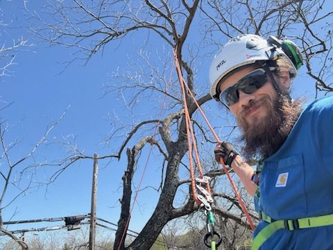 All Photos for Blu-J Tree Care in Arlington, TX