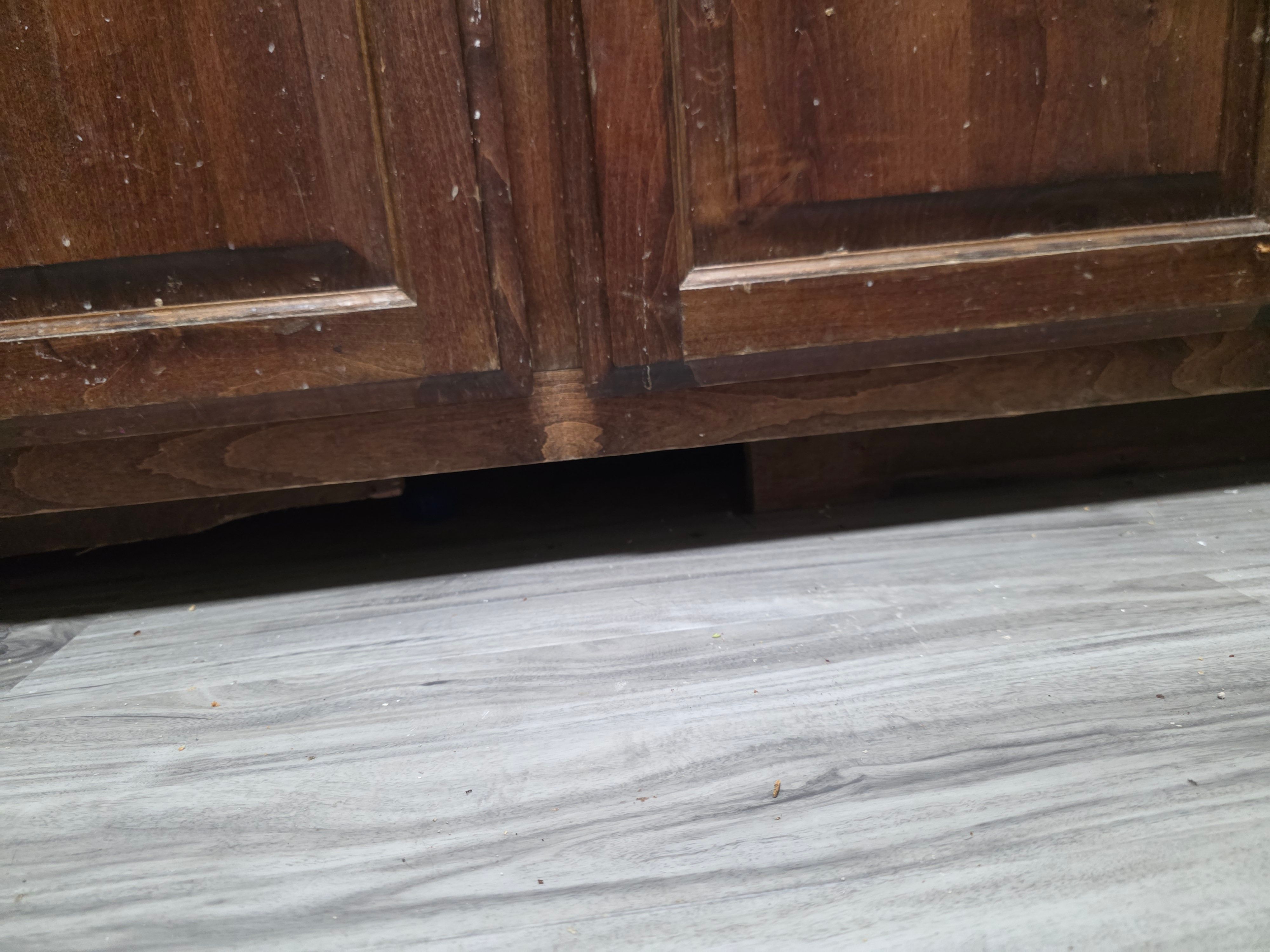  for Comptons Painting LLC in Smyrna, TN