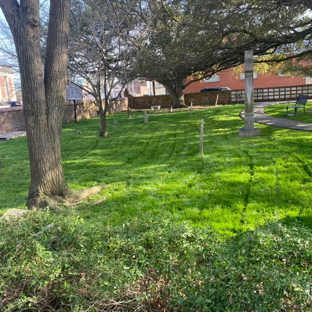 All Photos for Eddie’s Lawn Care in Chesapeake, VA