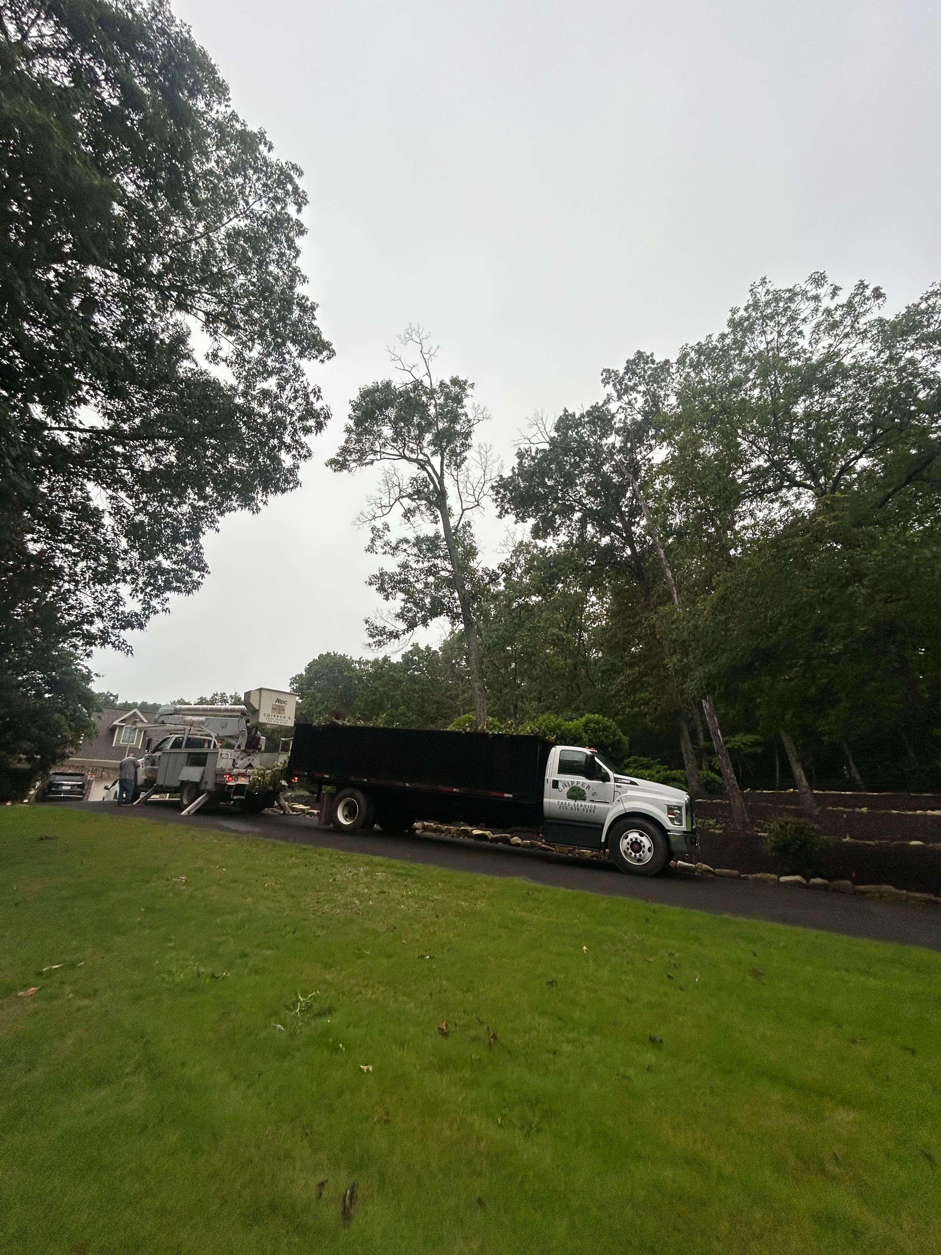  for Chipper's Tree Service  in Fort Payne, AL