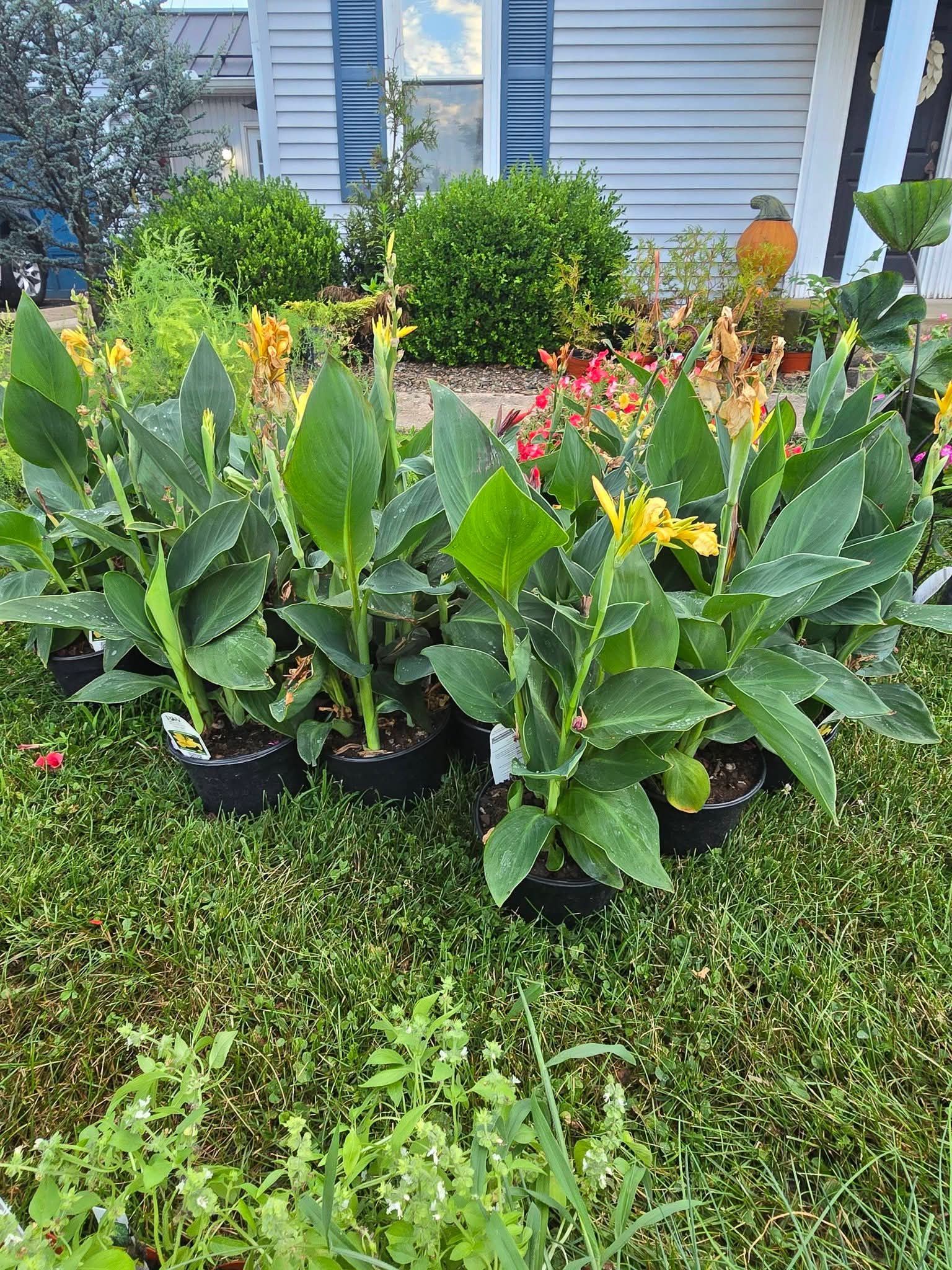 for Down Home Landscaping in Stillwater, PA