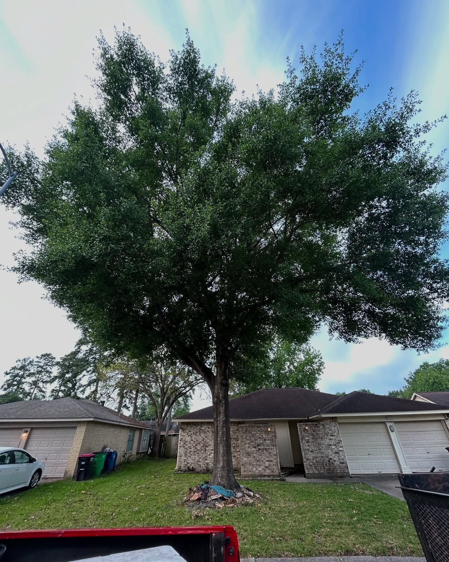  for C&B Ramos Tree Service in Houston, TX