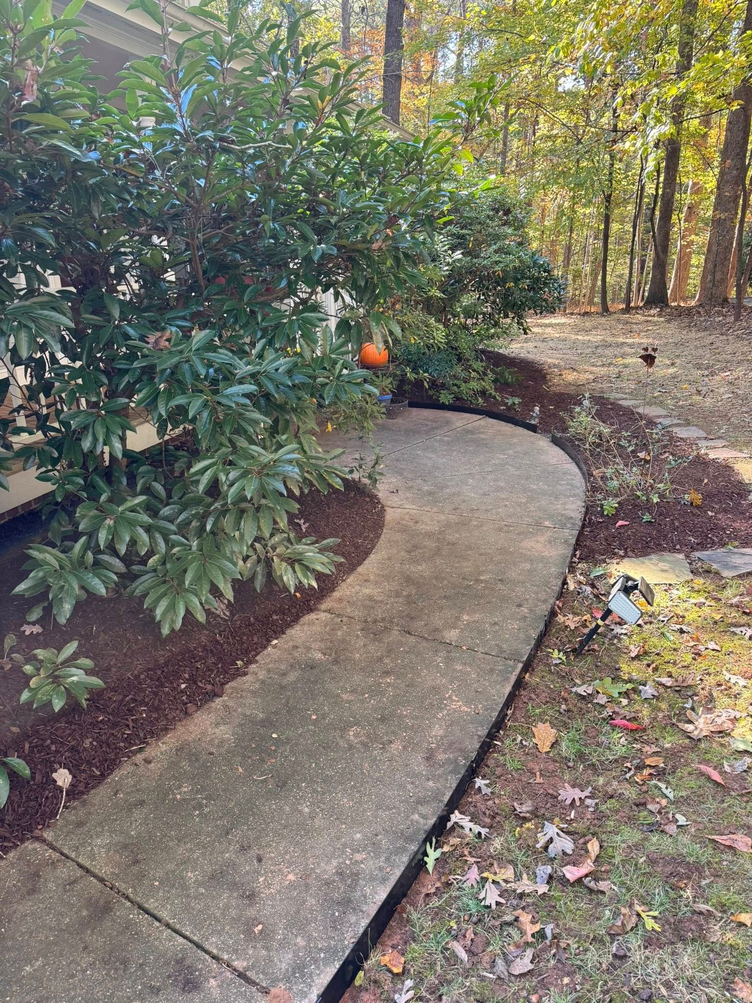  for Done2Day LLC in Wake Forest, NC