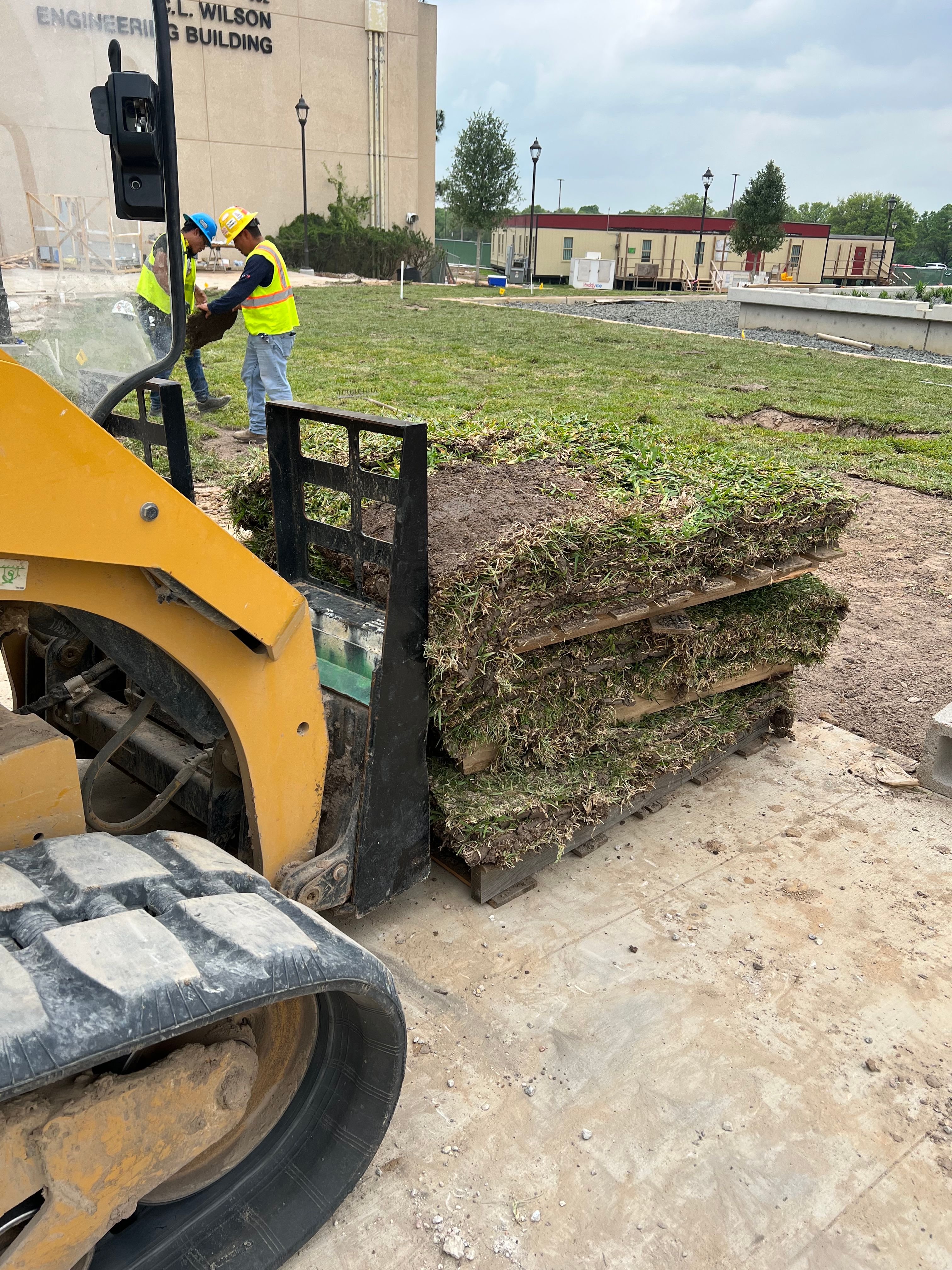 Sod for Silver Mines Landscape & Construction, LLC. in Houston, TX