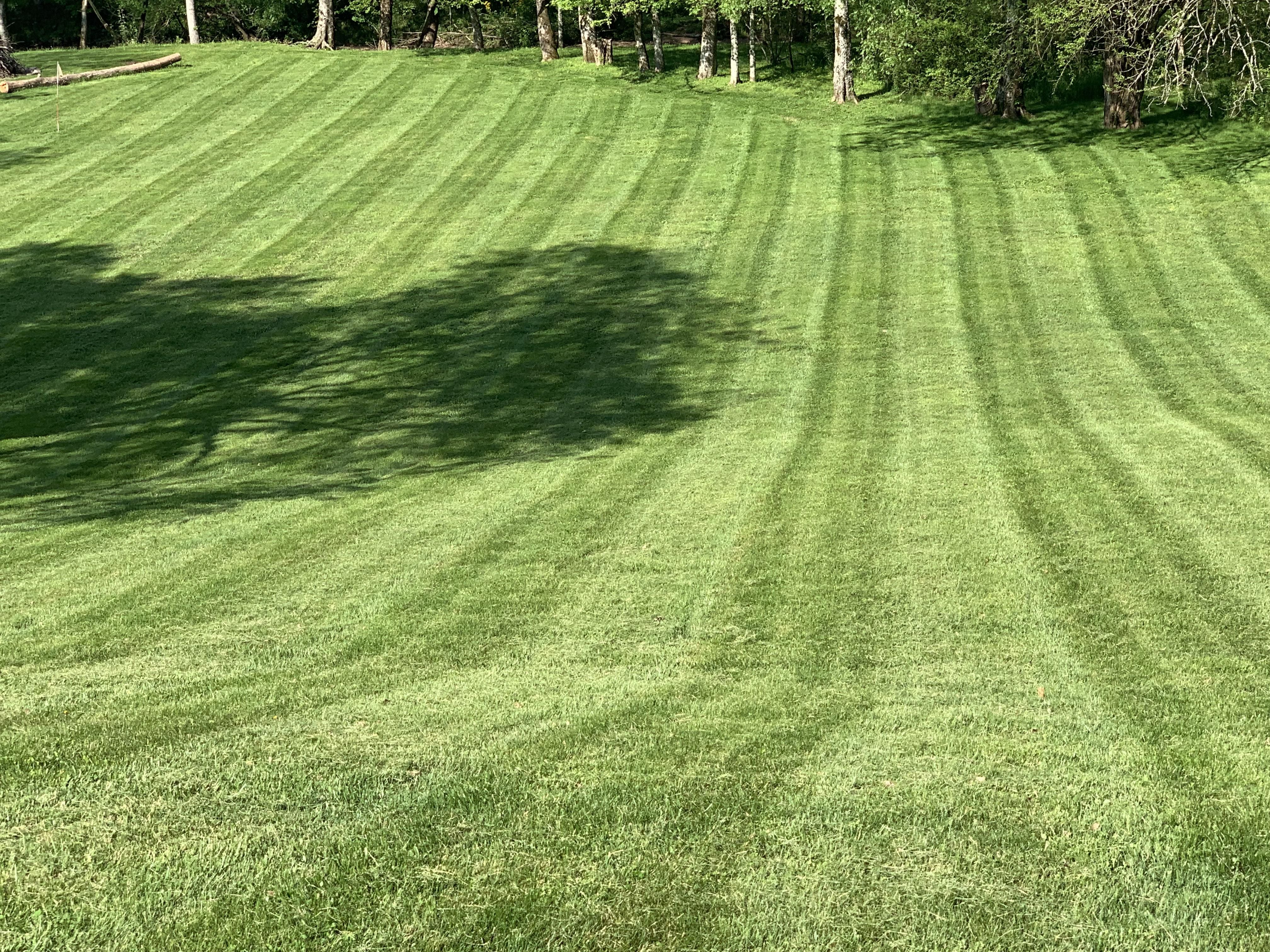  for The Right Price Right Choice Lawn Care Services in Murfreesboro, TN