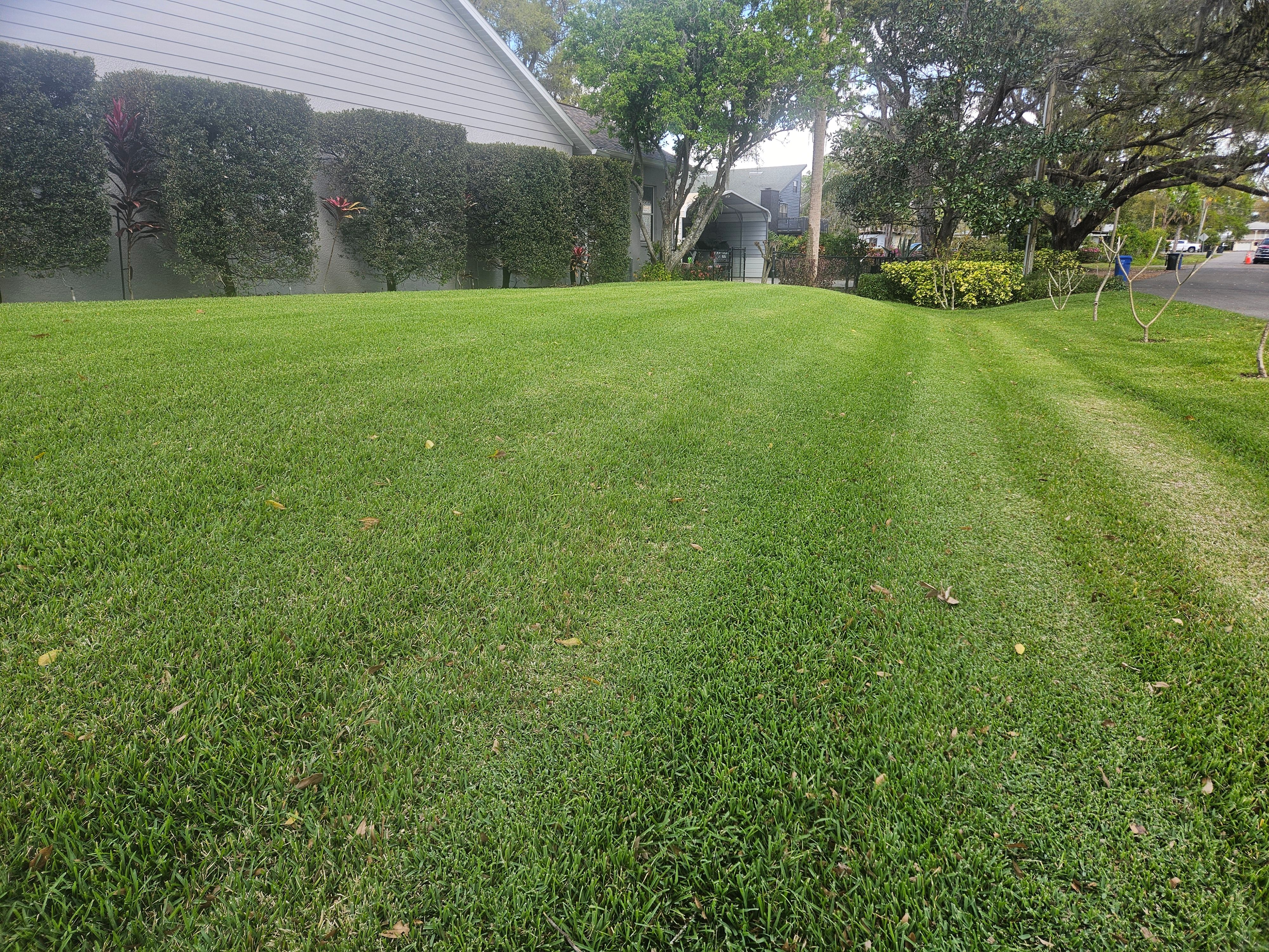  for Bay Area Bobcat in Riverview, FL