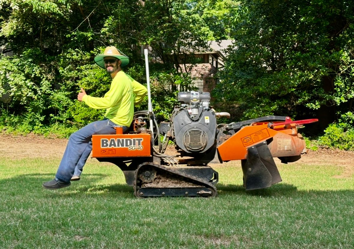  for Clear Tree Land Solutions in Dawson County, GA